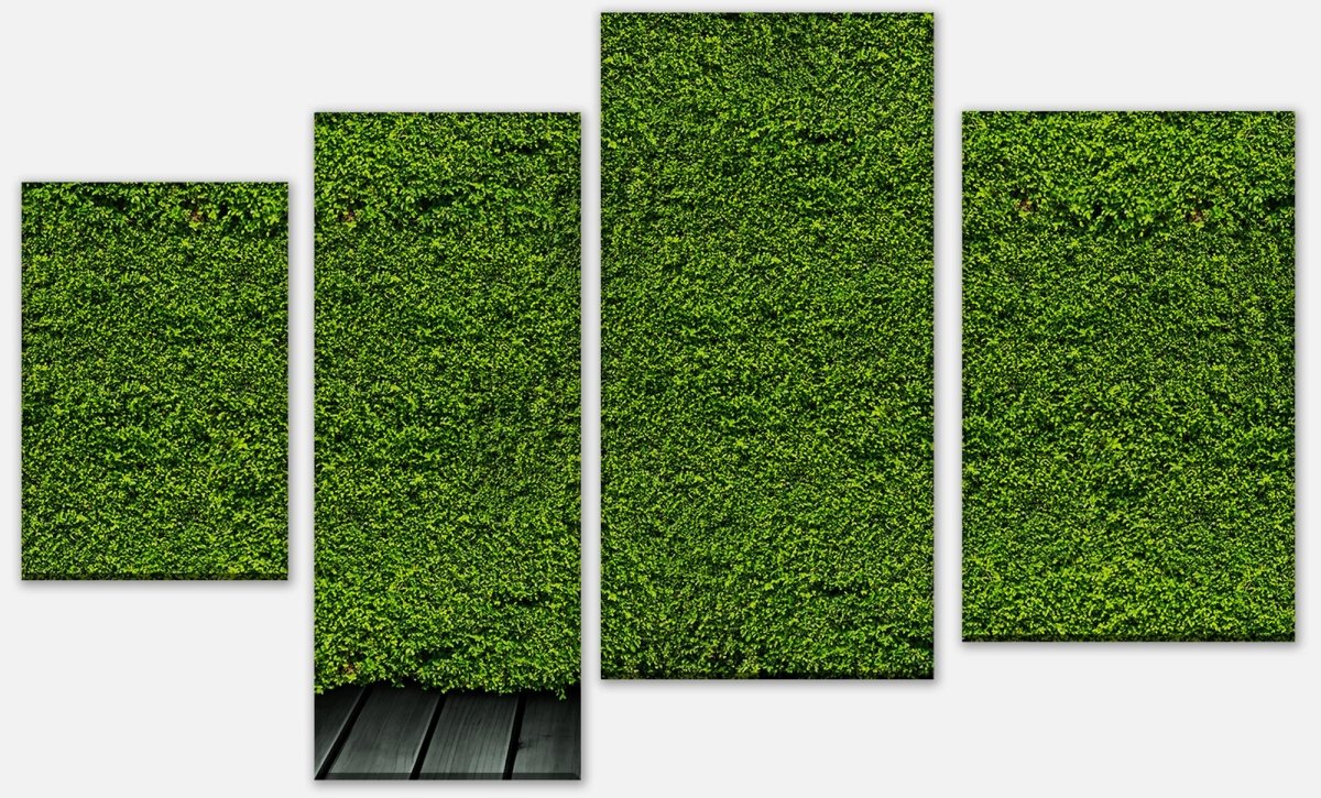 Leinwandbild Mehrteiler Grüne Mauer M0572 Leinwandbild Mehrteiler Grüne Mauer M0572