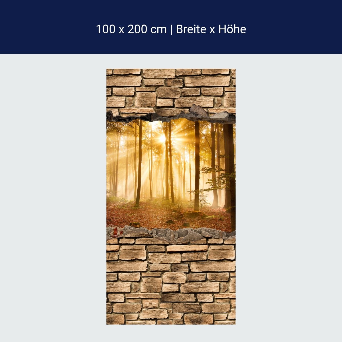 Duschwand 3D Wald am Morgen - Steinmauer M0661 Duschwand 3D Wald am Morgen - Steinmauer M0661