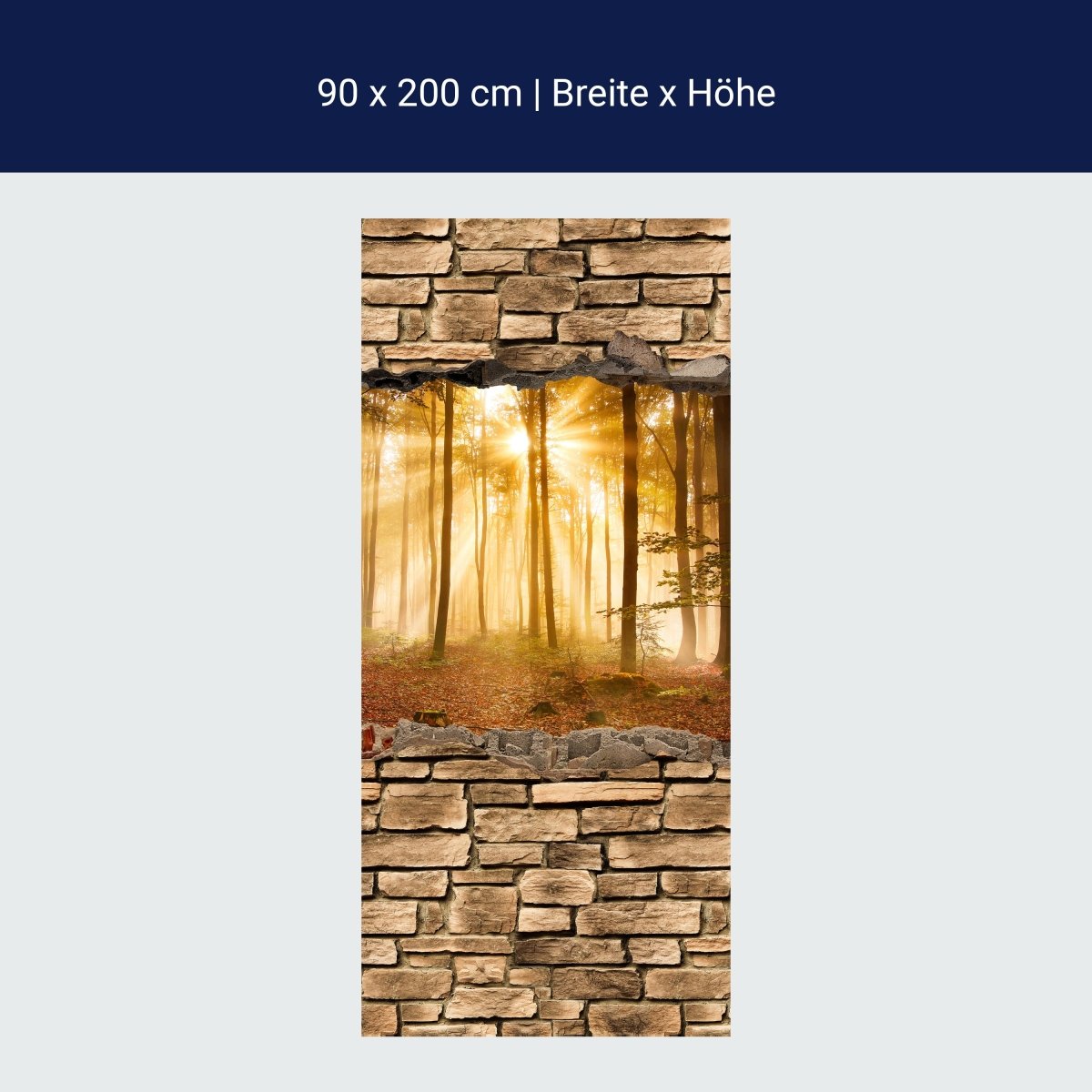 Duschwand 3D Wald am Morgen - Steinmauer M0661 Duschwand 3D Wald am Morgen - Steinmauer M0661