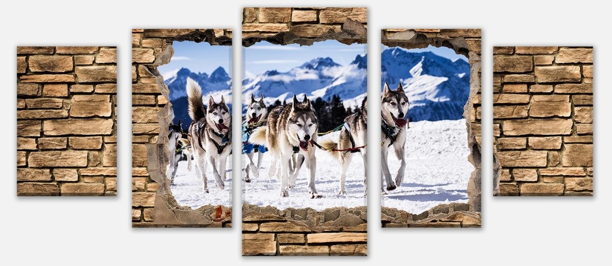 Leinwandbild Mehrteiler 3D Schlittenhunde Racing - Steinmauer M0671 entdecken - Bild 1 Leinwandbild Mehrteiler 3D Schlittenhunde Racing - Steinmauer M0671 entdecken - Bild 1