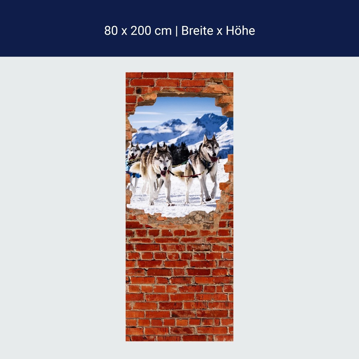 Duschwand Schlittenhunde in Racing - Roter Backstein M0685 Duschwand Schlittenhunde in Racing - Roter Backstein M0685
