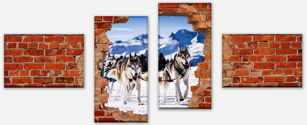 Leinwandbild Mehrteiler Schlittenhunde in Racing - Roter Backstein M0685 Leinwandbild Mehrteiler Schlittenhunde in Racing - Roter Backstein M0685