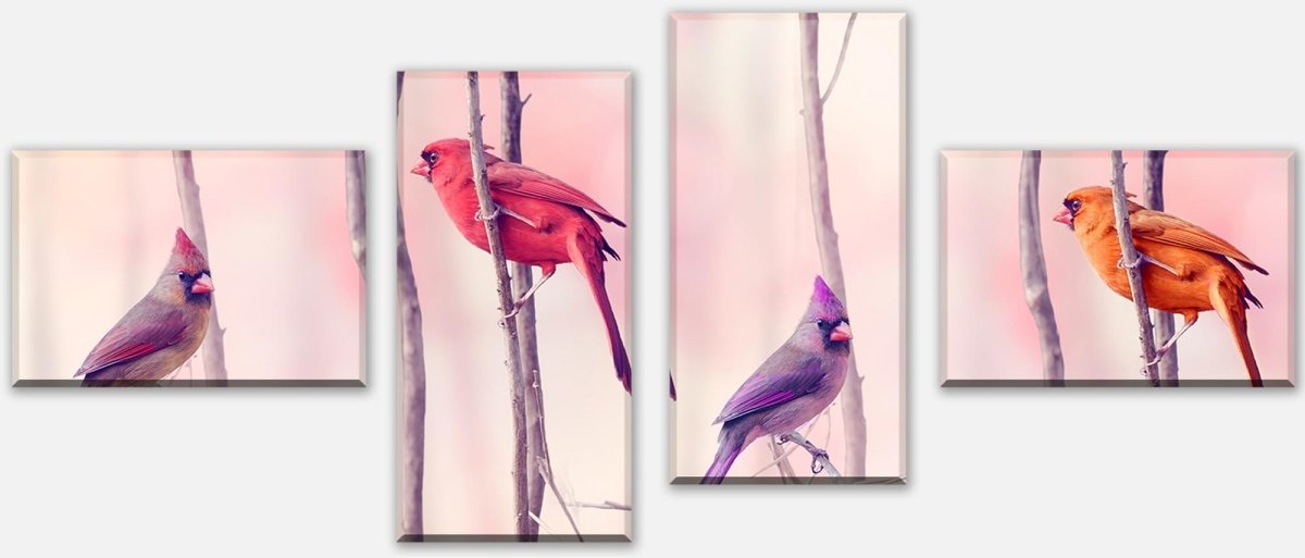 Leinwandbild Mehrteiler Kardinalvögel M0718 Leinwandbild Mehrteiler Kardinalvögel M0718