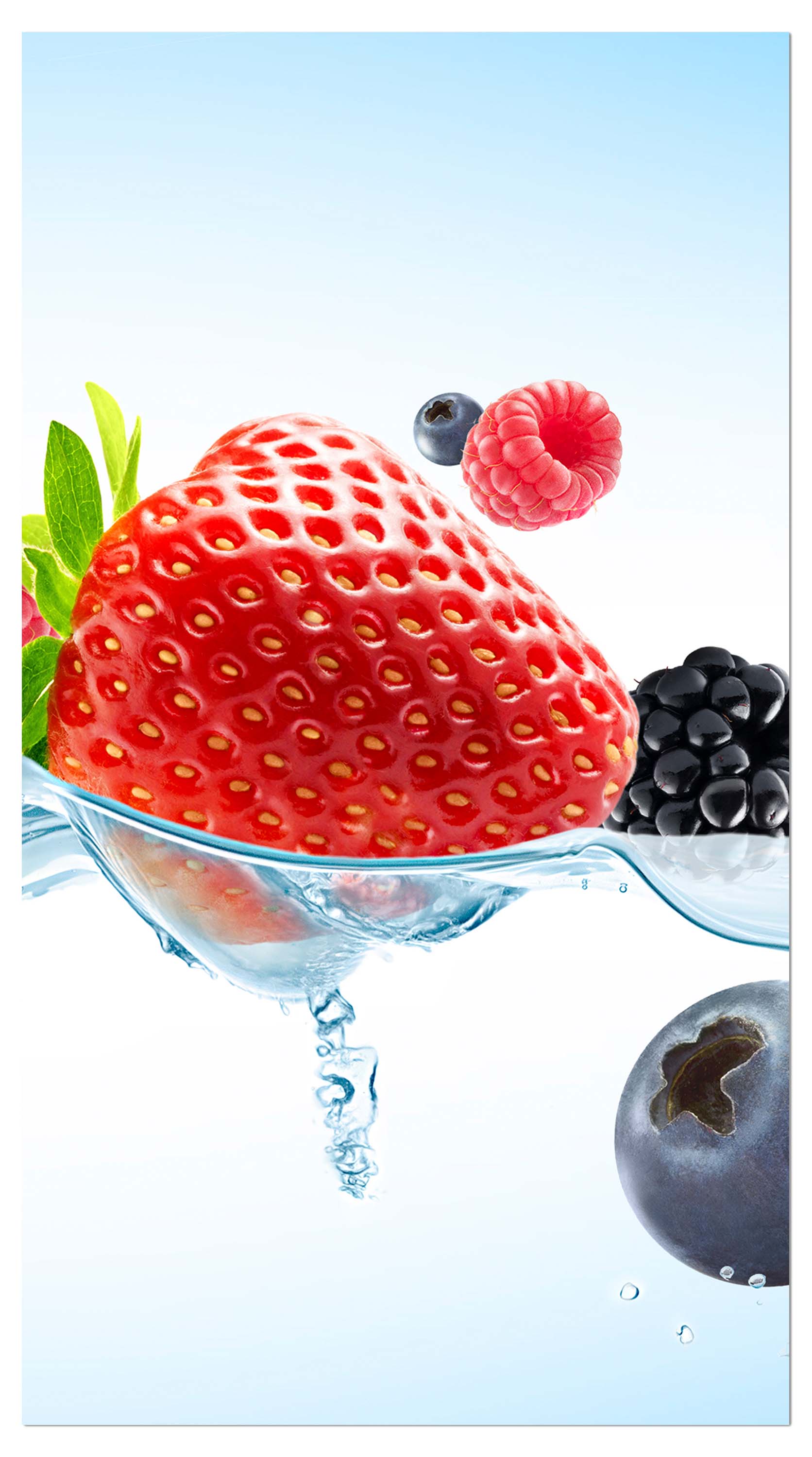 Garderobe Close up Blick frische Beeren M0737 entdecken - Bild 4 Garderobe Close up Blick frische Beeren M0737 entdecken - Bild 4