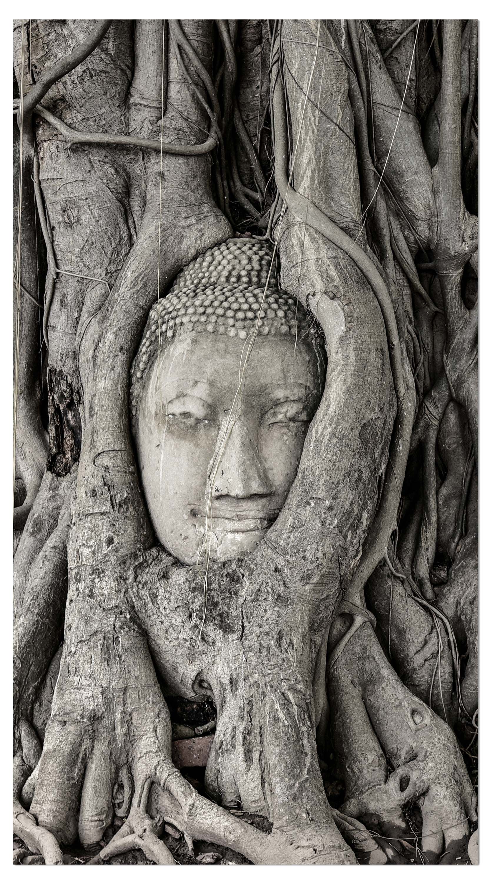 Garderobe Tempel der Großen Relikte SW M0783 entdecken - Bild 4 Garderobe Tempel der Großen Relikte SW M0783 entdecken - Bild 4