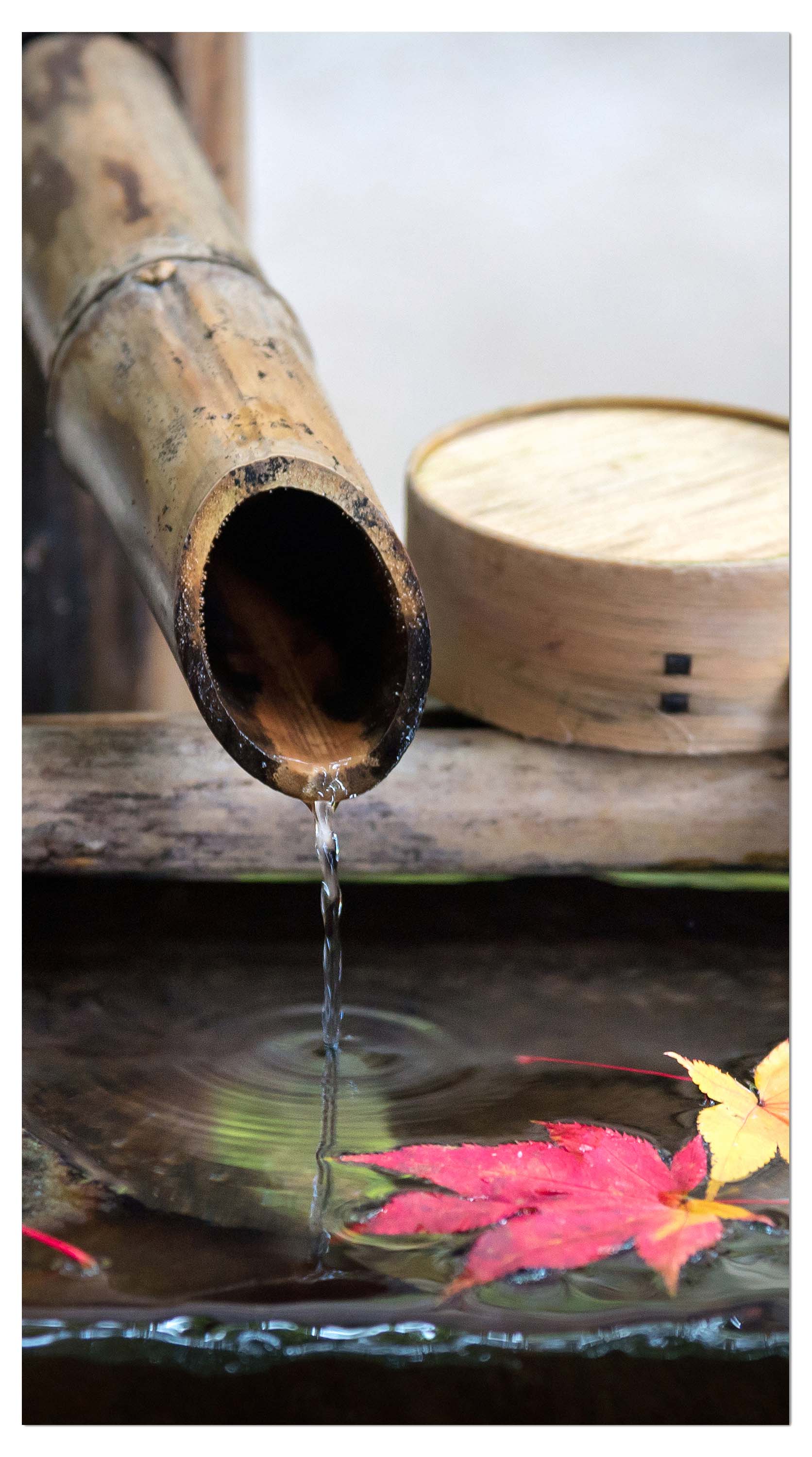 Garderobe Brunnen in einem japanischen Zengarten M0824 entdecken - Bild 4 Garderobe Brunnen in einem japanischen Zengarten M0824 entdecken - Bild 4