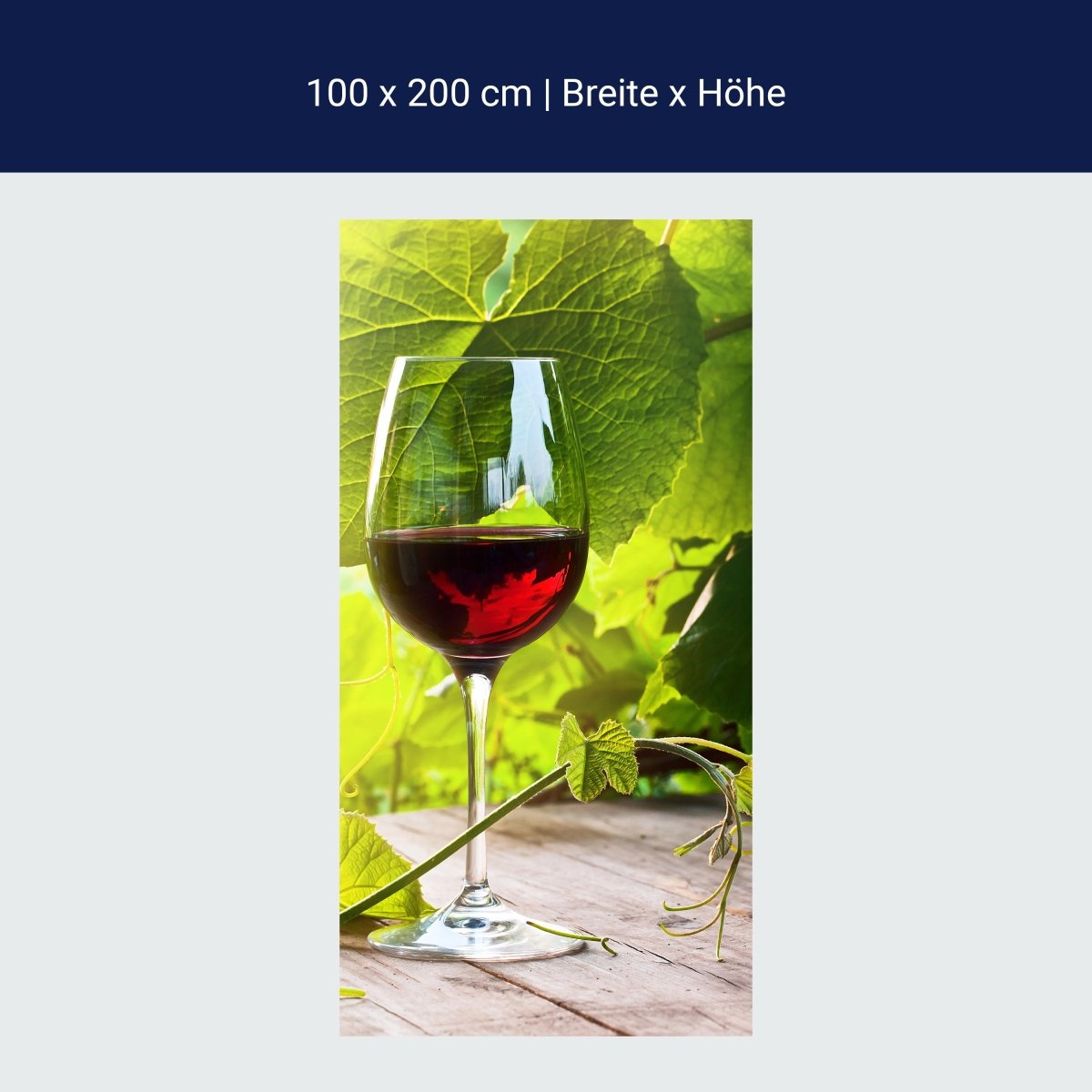 Duschwand Glas mit Rotwein im Weinberg M0830 Duschwand Glas mit Rotwein im Weinberg M0830