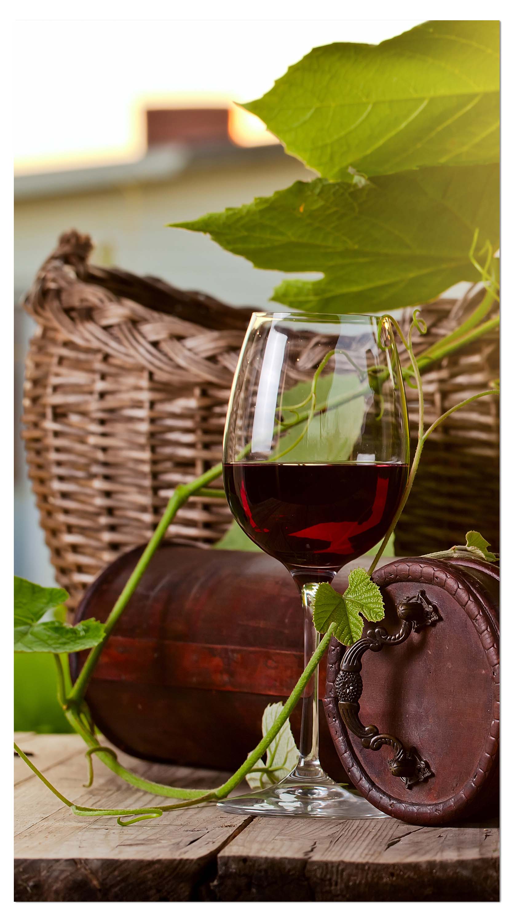 Garderobe Flasche und Glas mit Rotwein M0831 entdecken - Bild 4 Garderobe Flasche und Glas mit Rotwein M0831 entdecken - Bild 4