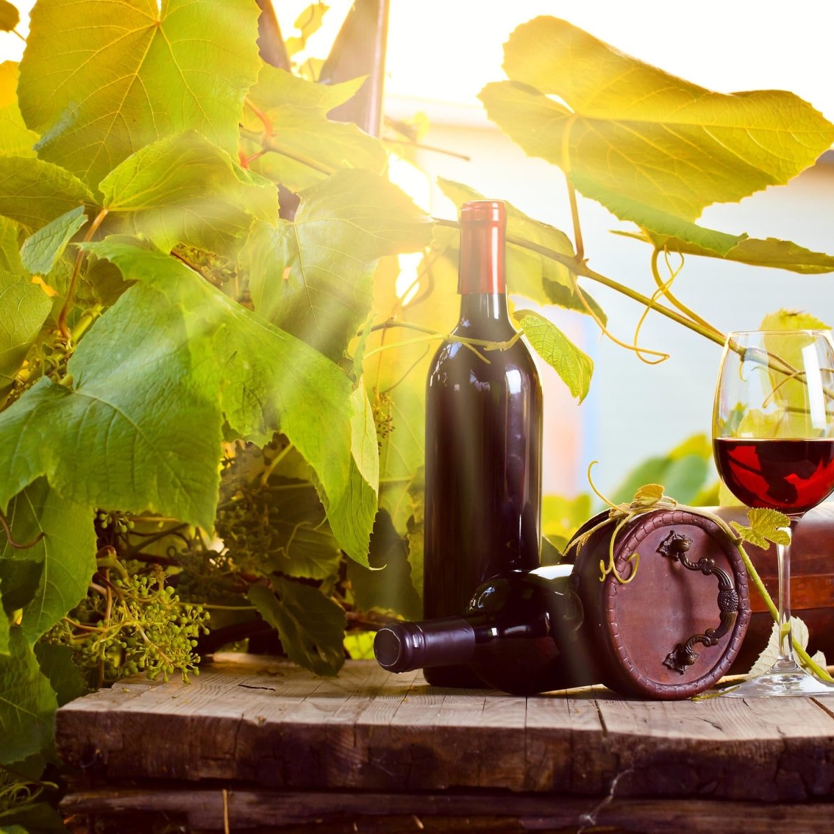 Beistelltisch Weinberg und Wein M0833 entdecken - Bild 2 Beistelltisch Weinberg und Wein M0833 entdecken - Bild 2