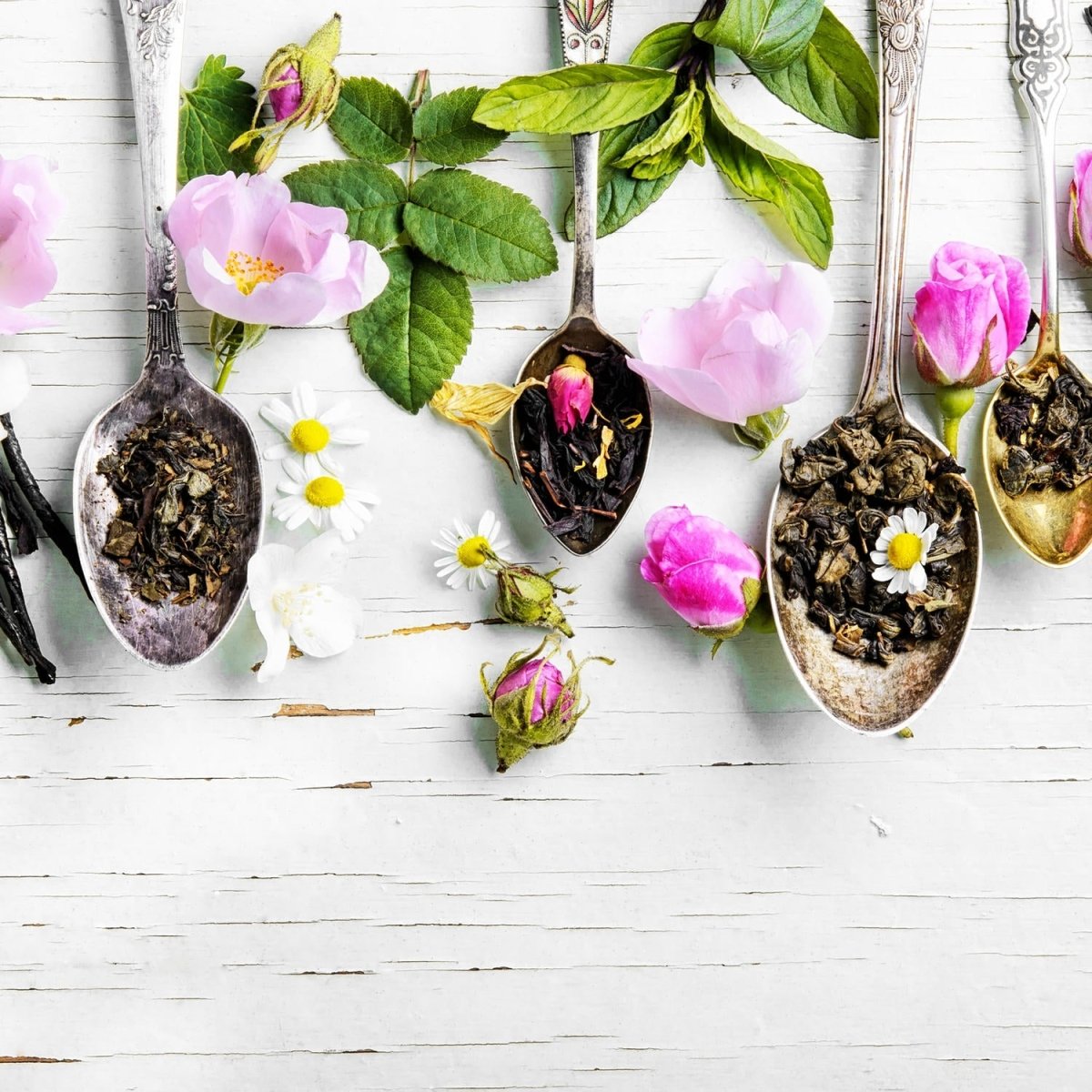 Beistelltisch Sortiment von Kräutertees M0852 entdecken - Bild 2 Beistelltisch Sortiment von Kräutertees M0852 entdecken - Bild 2