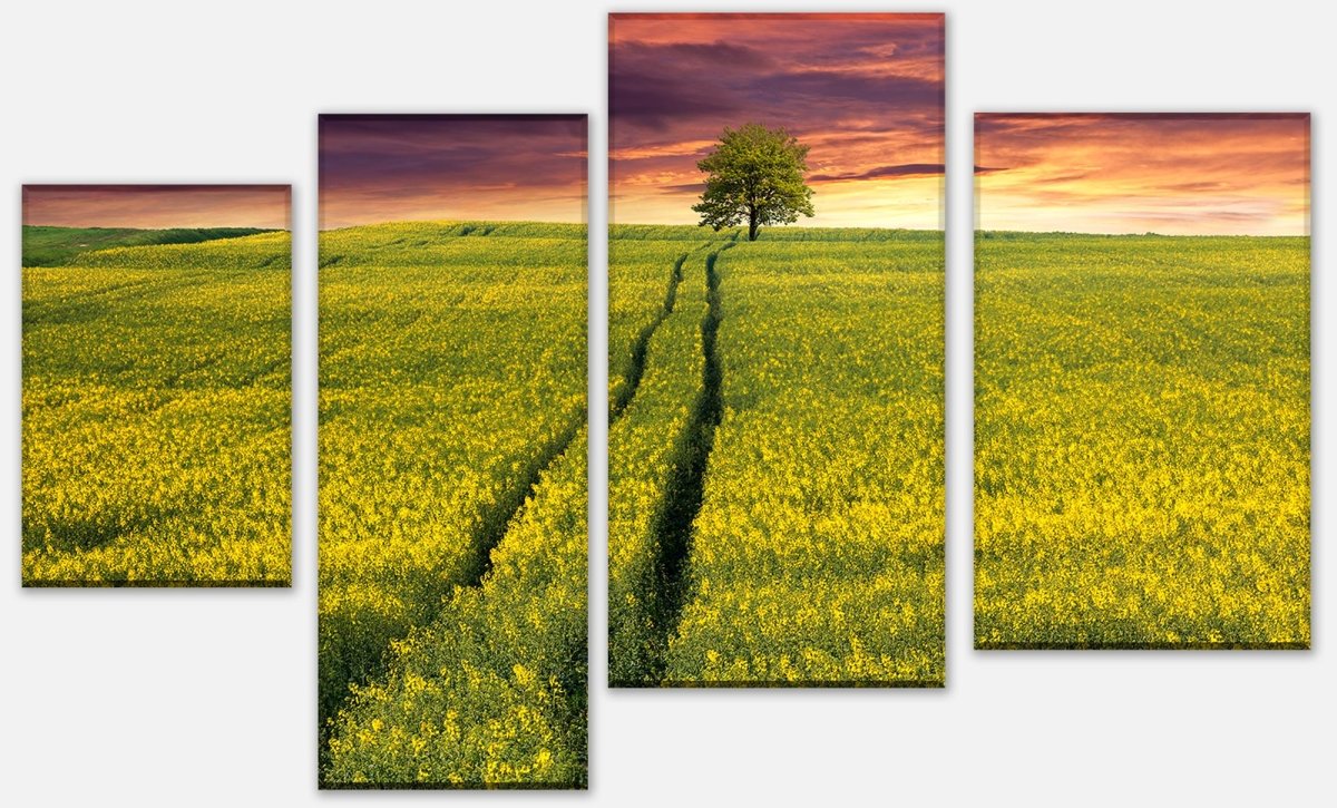 Leinwandbild Mehrteiler Landschaft mit einem Feld von gelben Blumen M0874 Leinwandbild Mehrteiler Landschaft mit einem Feld von gelben Blumen M0874