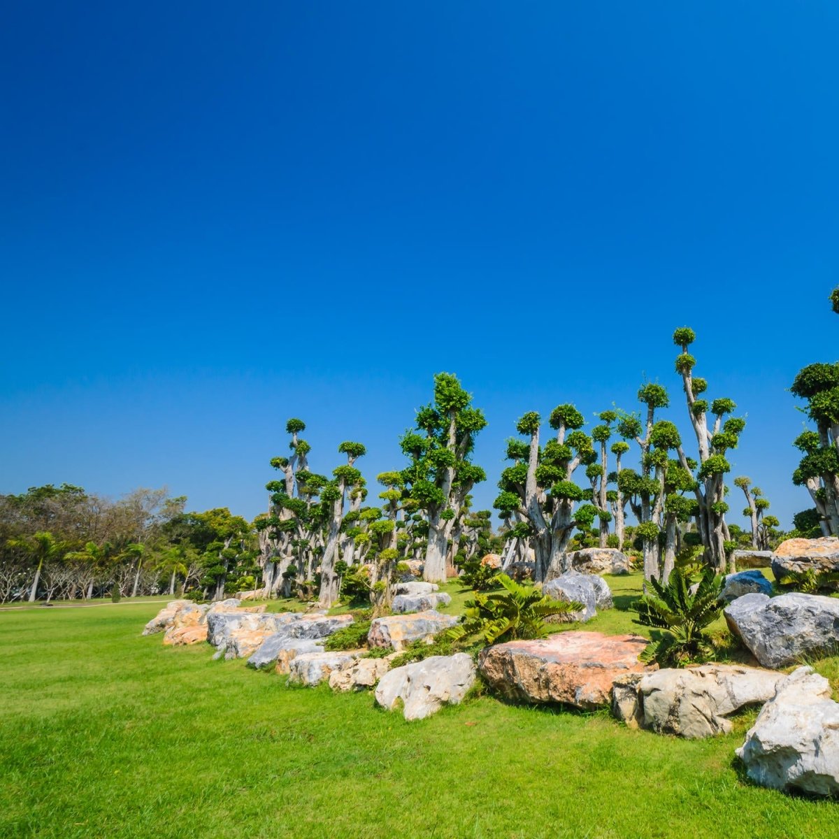 Beistelltisch Bäume und Felsen im Garten M0886 entdecken - Bild 2 Beistelltisch Bäume und Felsen im Garten M0886 entdecken - Bild 2