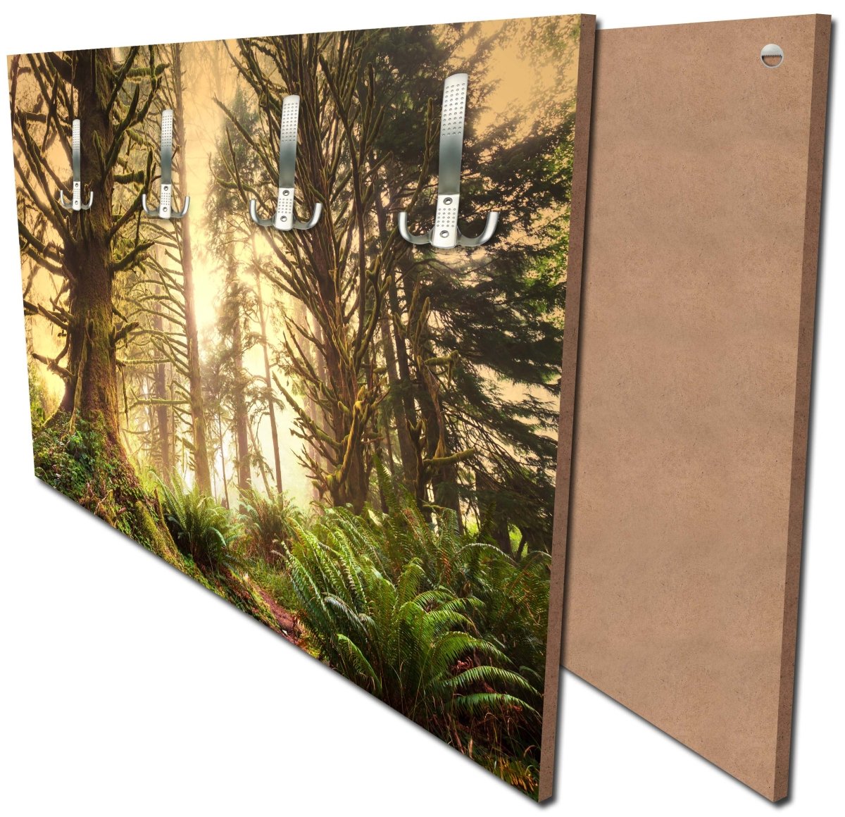 Garderobe Regenwald im Olympischen Nationalpark M0887 Garderobe Regenwald im Olympischen Nationalpark M0887