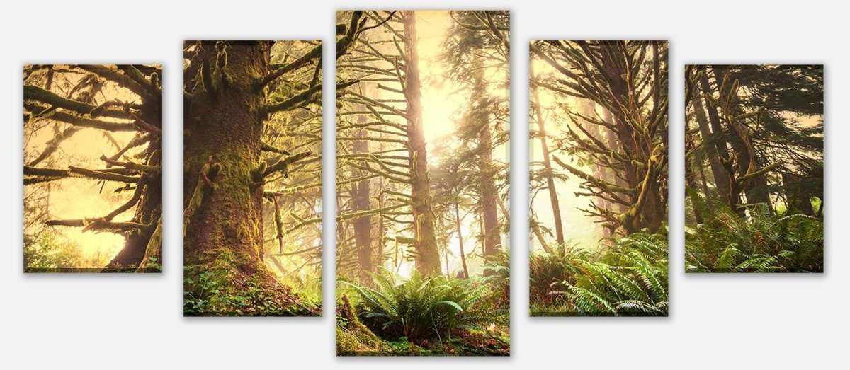 Leinwandbild Mehrteiler Regenwald im Olympischen Nationalpark M0887 entdecken - Bild 1 Leinwandbild Mehrteiler Regenwald im Olympischen Nationalpark M0887 entdecken - Bild 1