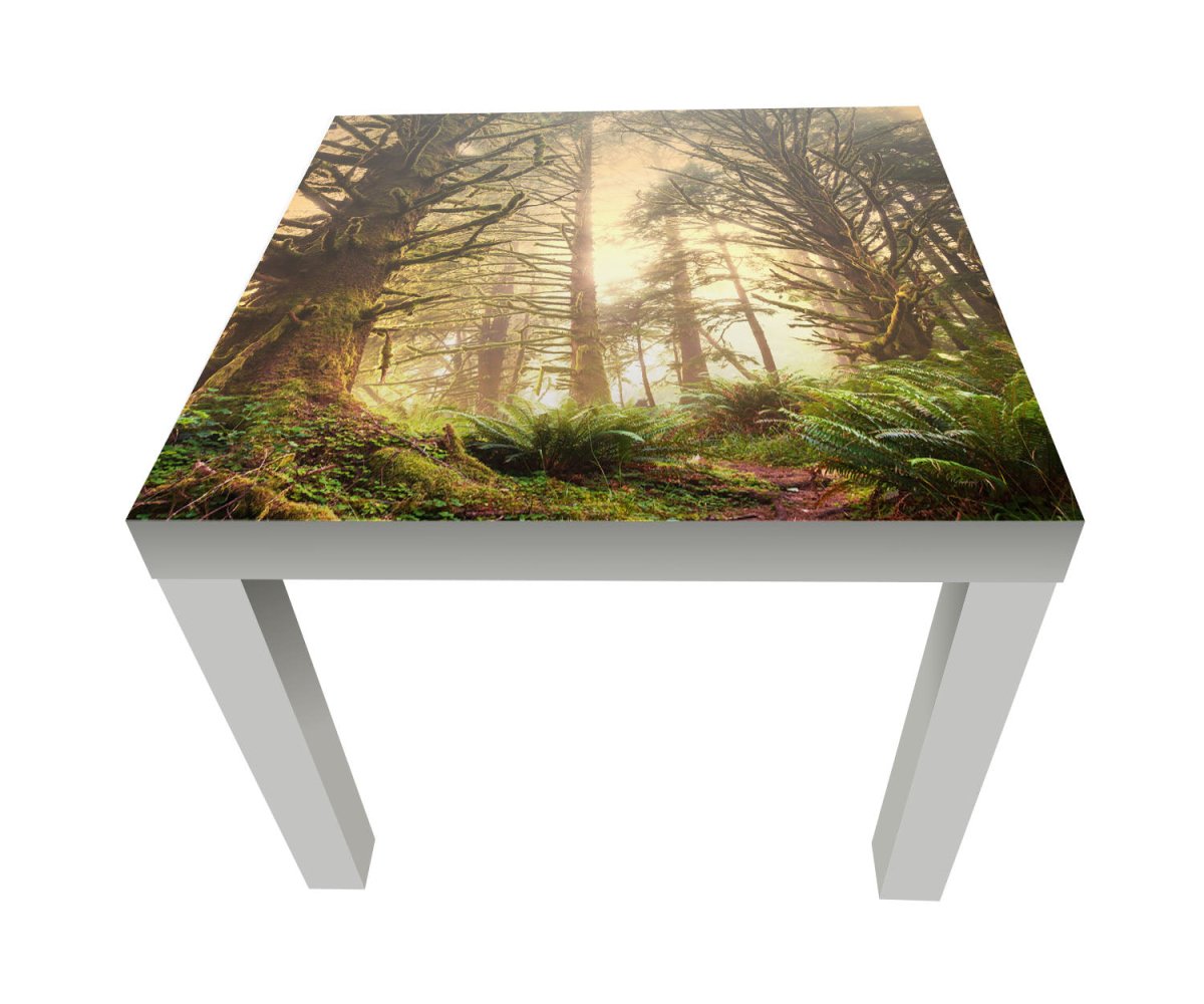 Beistelltisch Regenwald im Olympischen Nationalpark M0887 entdecken - Bild 1 Beistelltisch Regenwald im Olympischen Nationalpark M0887 entdecken - Bild 1