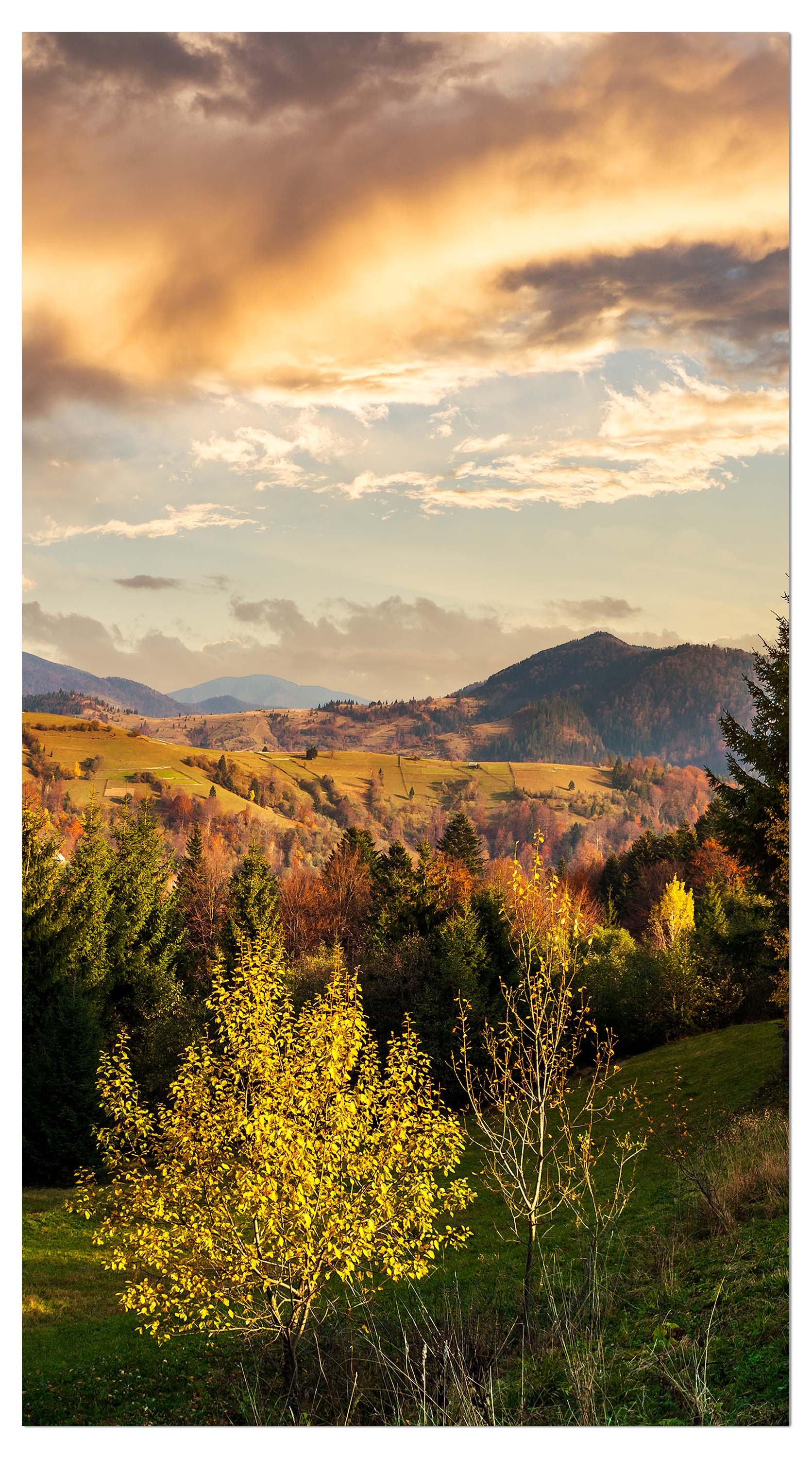 Garderobe Hang des Gebirgszuges mit Nadelwald M0908 entdecken - Bild 4 Garderobe Hang des Gebirgszuges mit Nadelwald M0908 entdecken - Bild 4