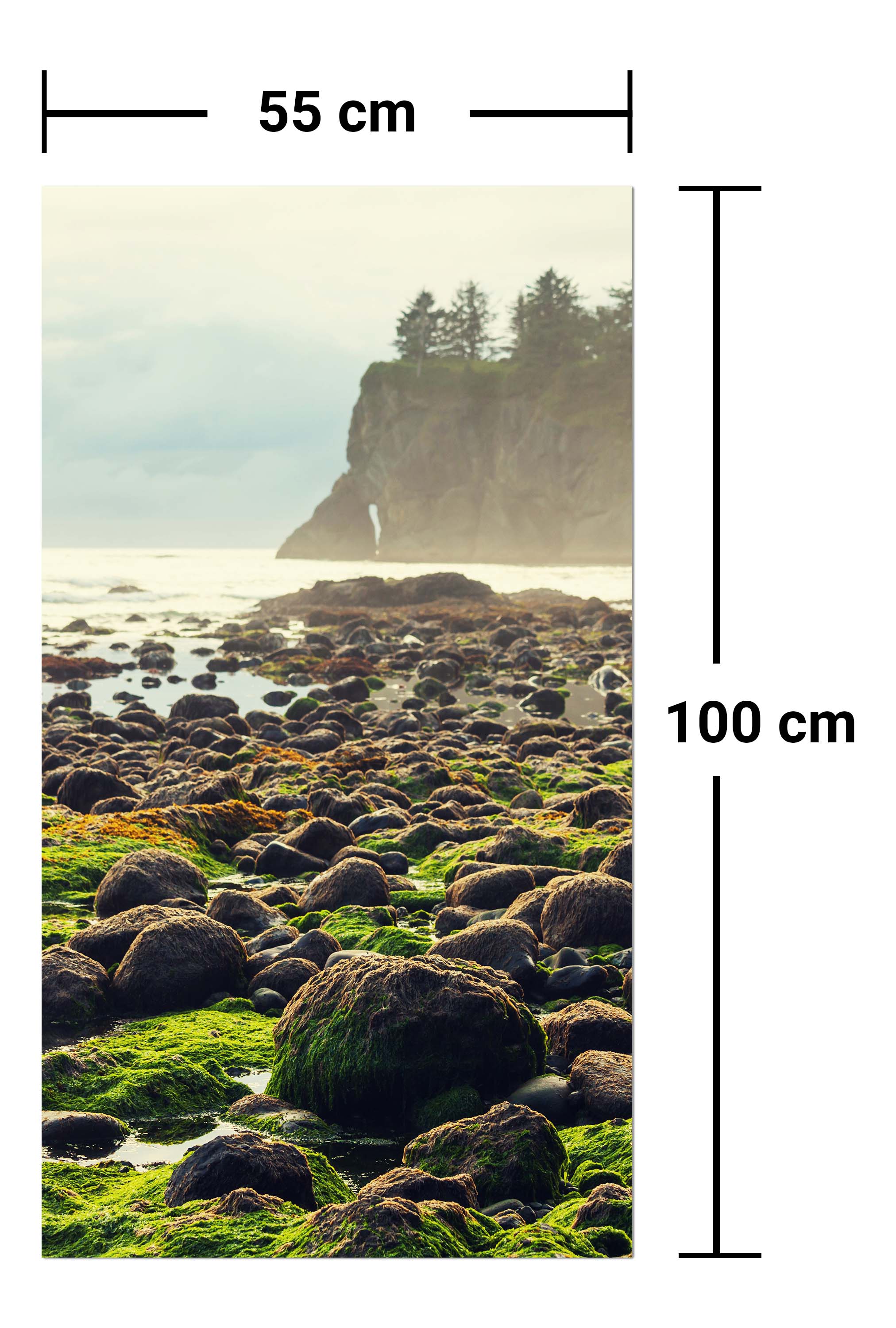 Garderobe Olympic National Park, Washington M0910 entdecken - Bild 7 Garderobe Olympic National Park, Washington M0910 entdecken - Bild 7