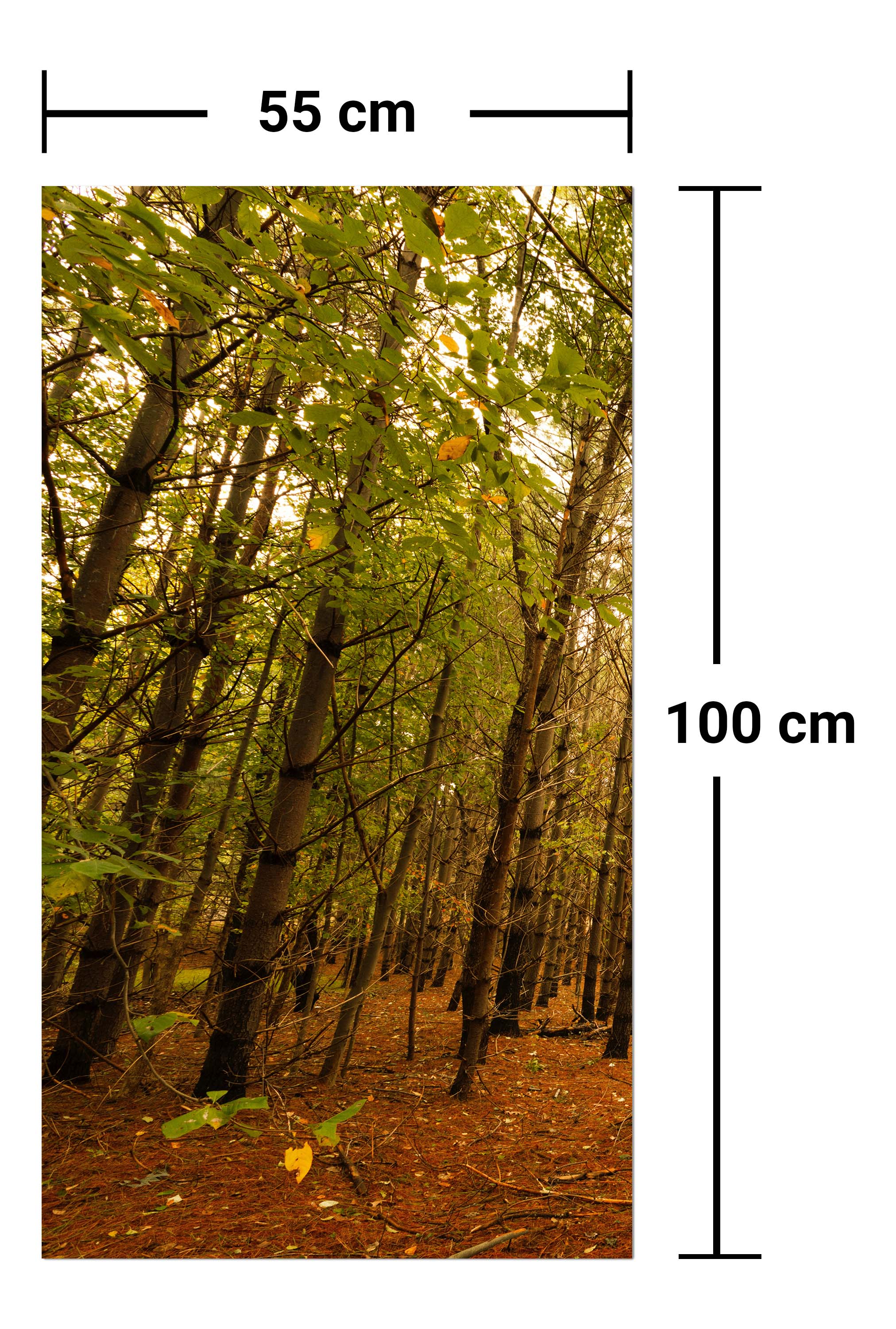 Garderobe Bunte Herbstlandschaft M0921 entdecken - Bild 7 Garderobe Bunte Herbstlandschaft M0921 entdecken - Bild 7