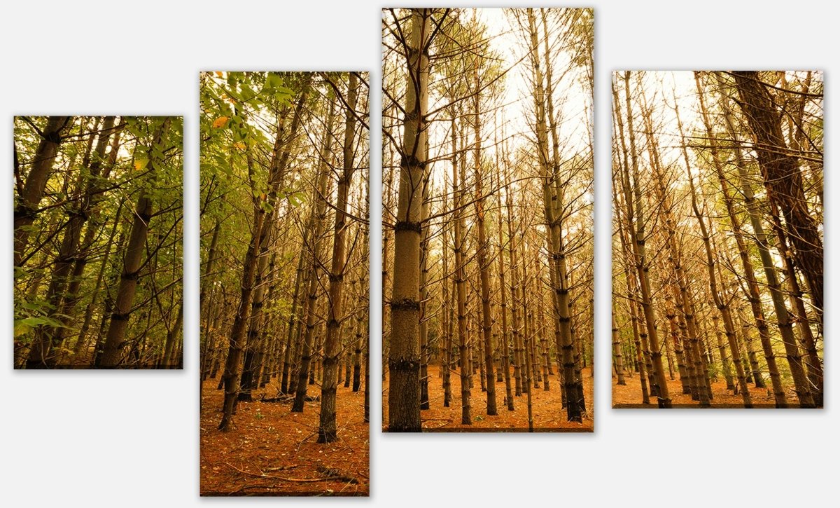 Leinwandbild Mehrteiler Bunte Herbstlandschaft M0921 Leinwandbild Mehrteiler Bunte Herbstlandschaft M0921