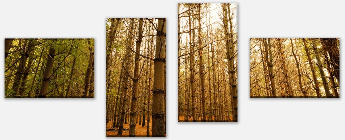 Leinwandbild Mehrteiler Bunte Herbstlandschaft M0921 Leinwandbild Mehrteiler Bunte Herbstlandschaft M0921