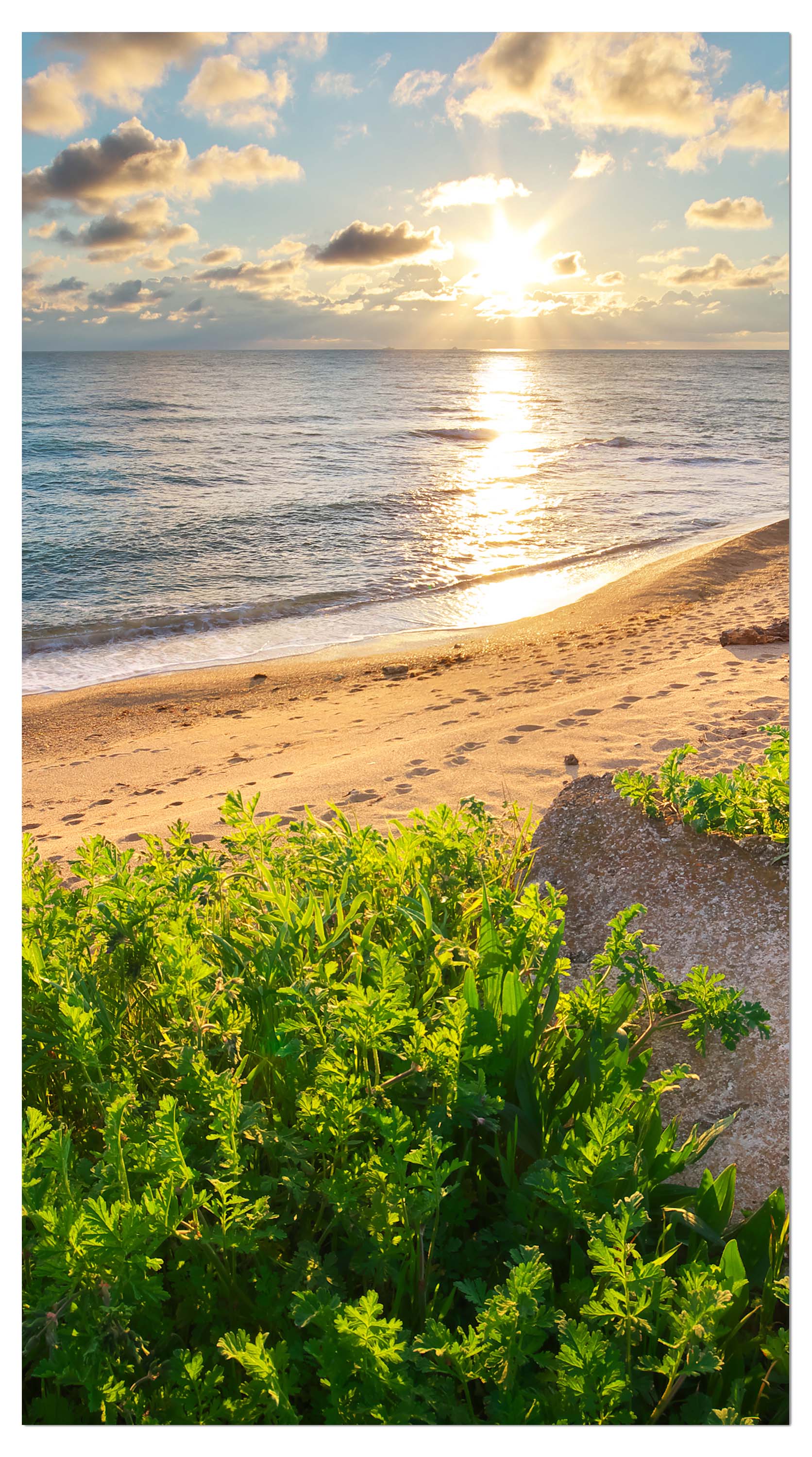 Garderobe Himmel, Meer und grünes Gras M0922 entdecken - Bild 4 Garderobe Himmel, Meer und grünes Gras M0922 entdecken - Bild 4