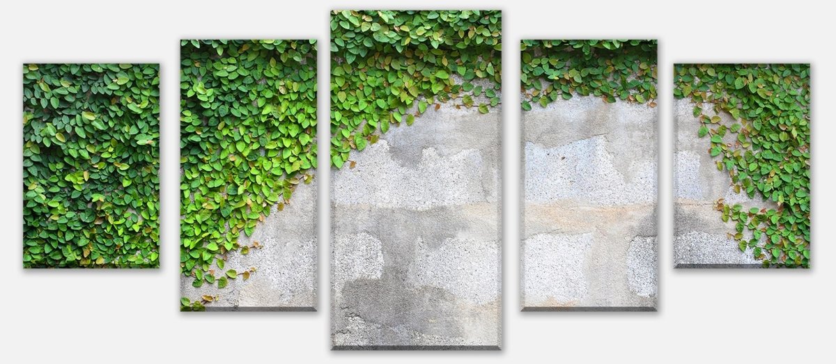 Leinwandbild Mehrteiler Eine Kriechpflanze auf einer Mauer M0937 entdecken - Bild 1 Leinwandbild Mehrteiler Eine Kriechpflanze auf einer Mauer M0937 entdecken - Bild 1