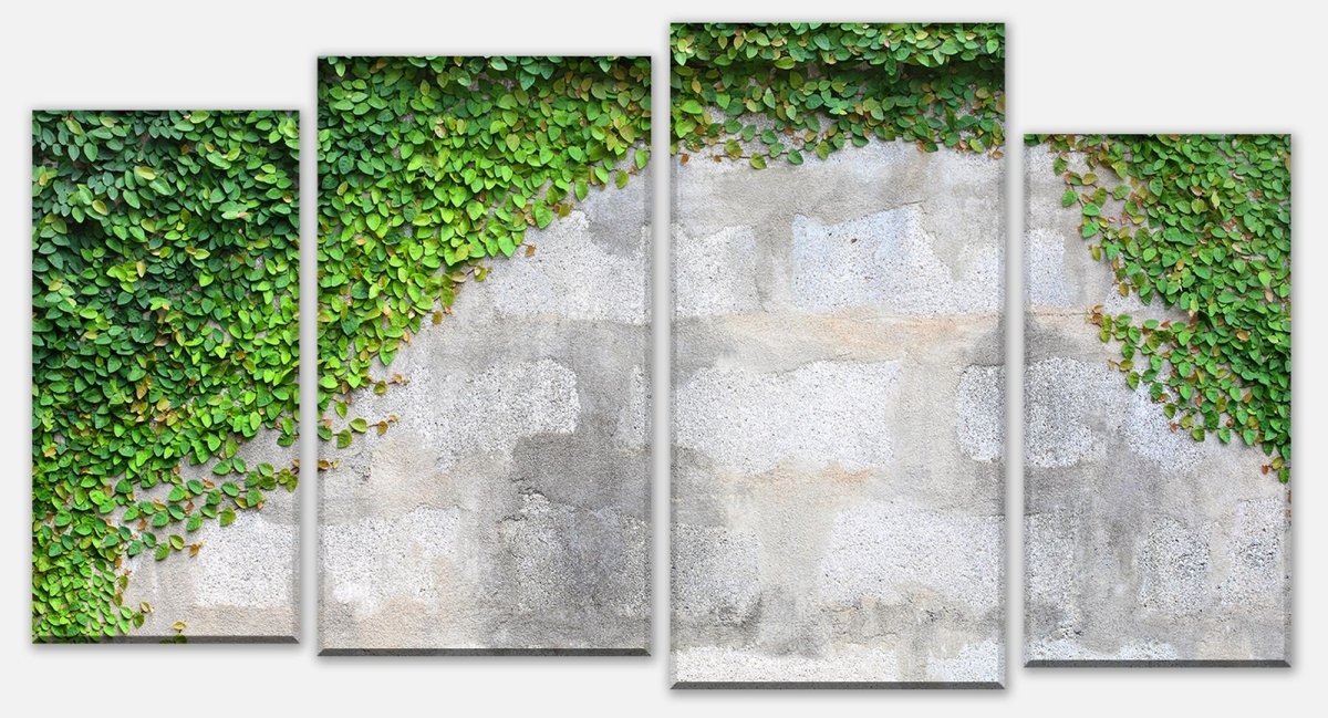 Leinwandbild Mehrteiler Eine Kriechpflanze auf einer Mauer M0937 Leinwandbild Mehrteiler Eine Kriechpflanze auf einer Mauer M0937