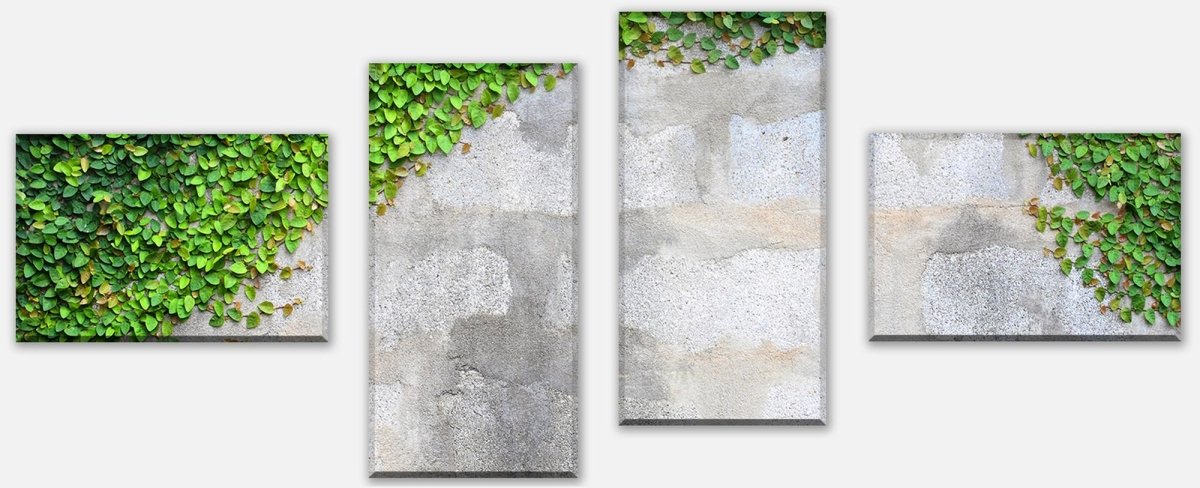 Leinwandbild Mehrteiler Eine Kriechpflanze auf einer Mauer M0937 Leinwandbild Mehrteiler Eine Kriechpflanze auf einer Mauer M0937