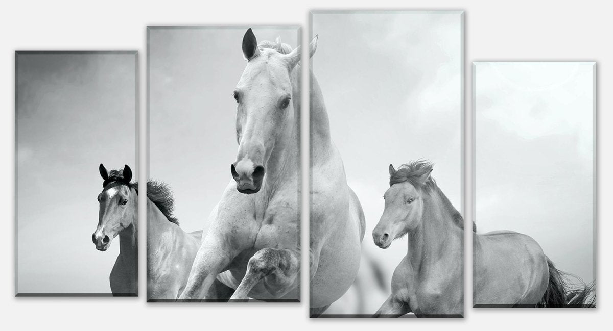 Leinwandbild Mehrteiler Pferde laufen in Weiß und Schwarz M0945 Leinwandbild Mehrteiler Pferde laufen in Weiß und Schwarz M0945