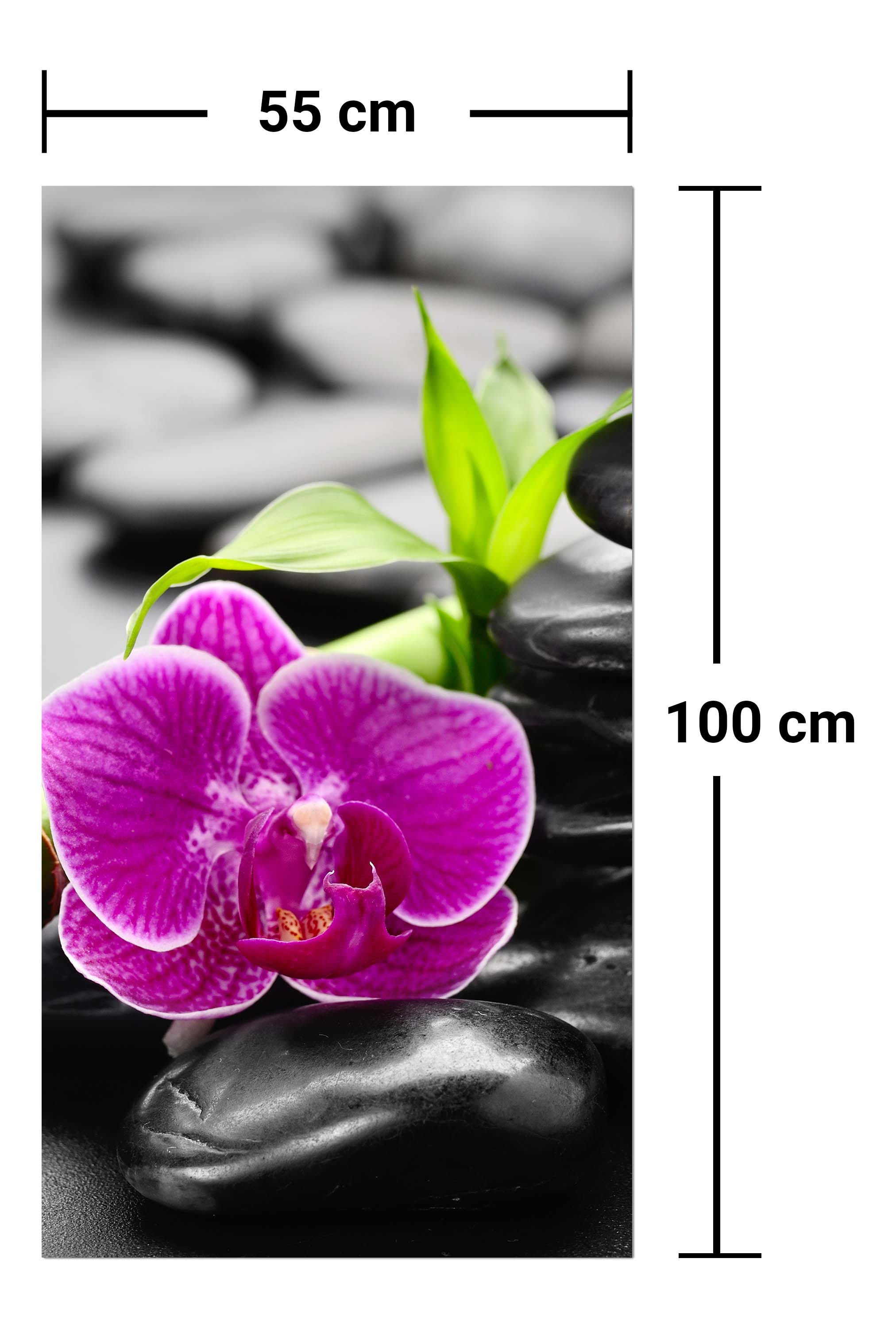 Garderobe Zen Basaltsteine und Orchidee M0954 entdecken - Bild 7 Garderobe Zen Basaltsteine und Orchidee M0954 entdecken - Bild 7