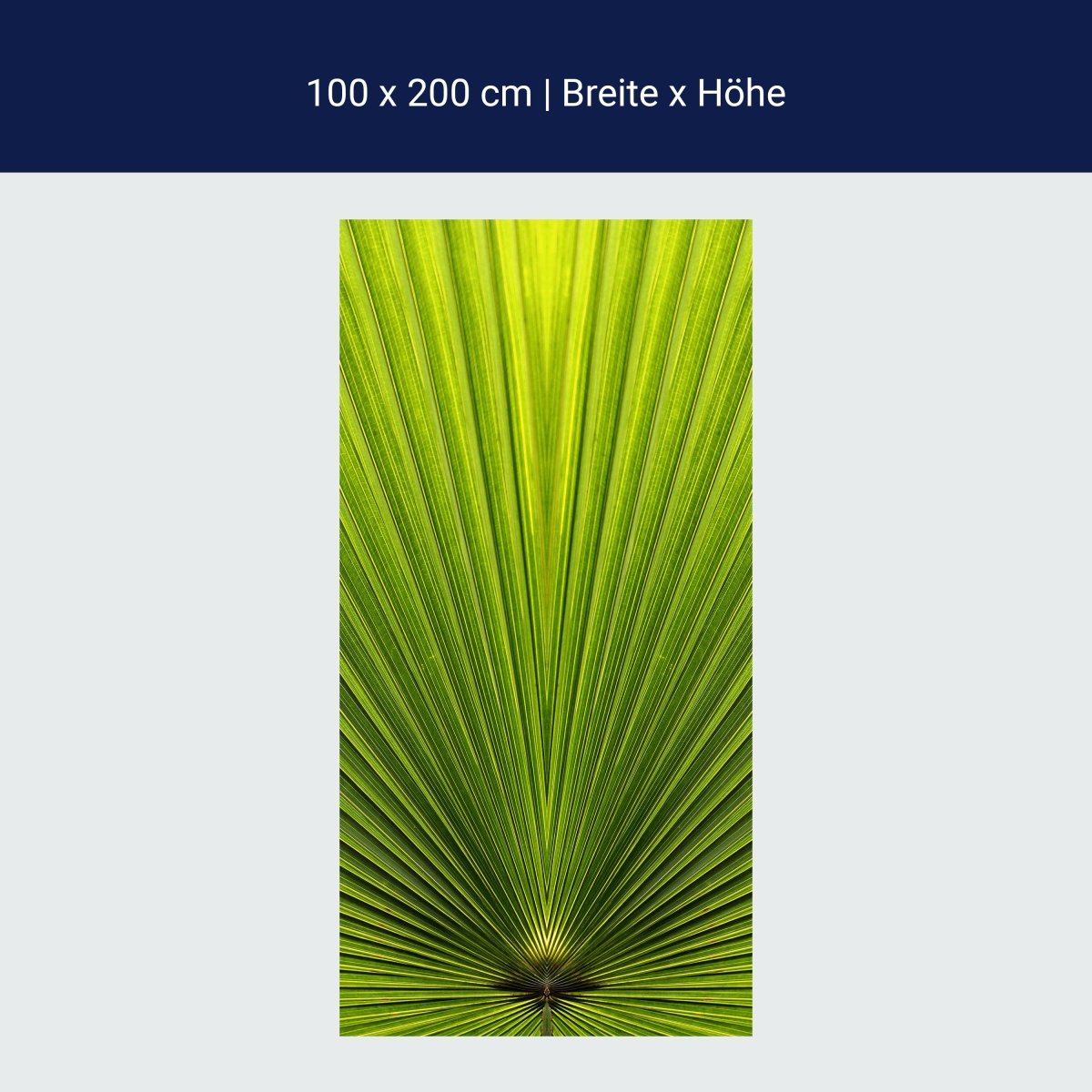 Duschwand Palmblatt Nahaufnahme M1003 Duschwand Palmblatt Nahaufnahme M1003