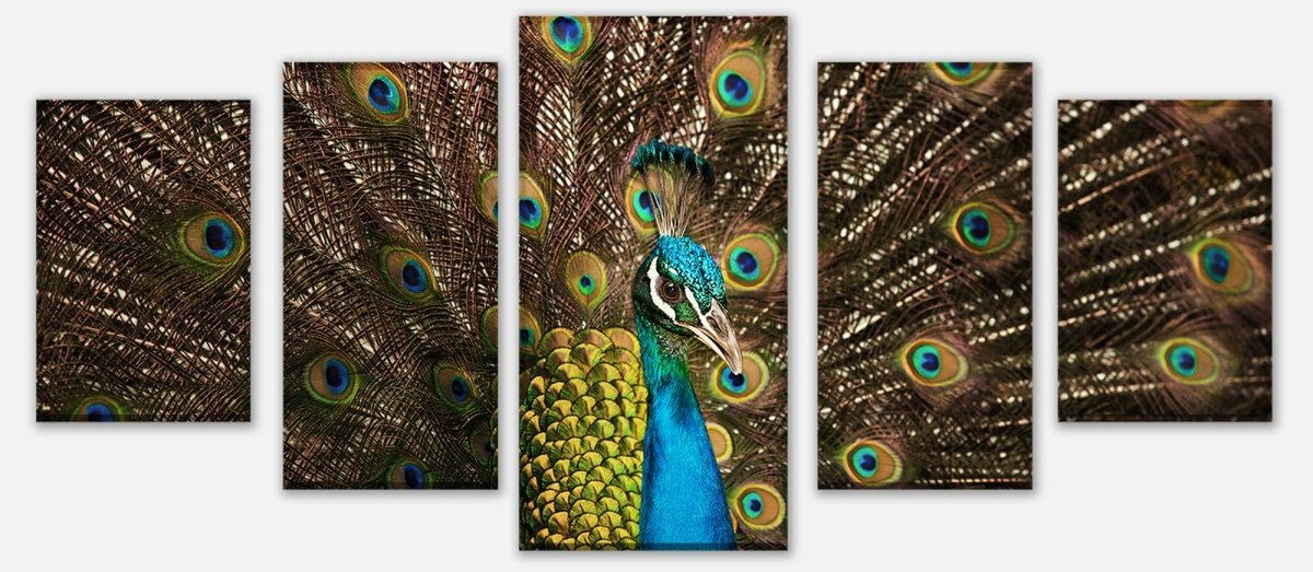 Leinwandbild Mehrteiler schöner Pfau M1005 entdecken - Bild 1 Leinwandbild Mehrteiler schöner Pfau M1005 entdecken - Bild 1