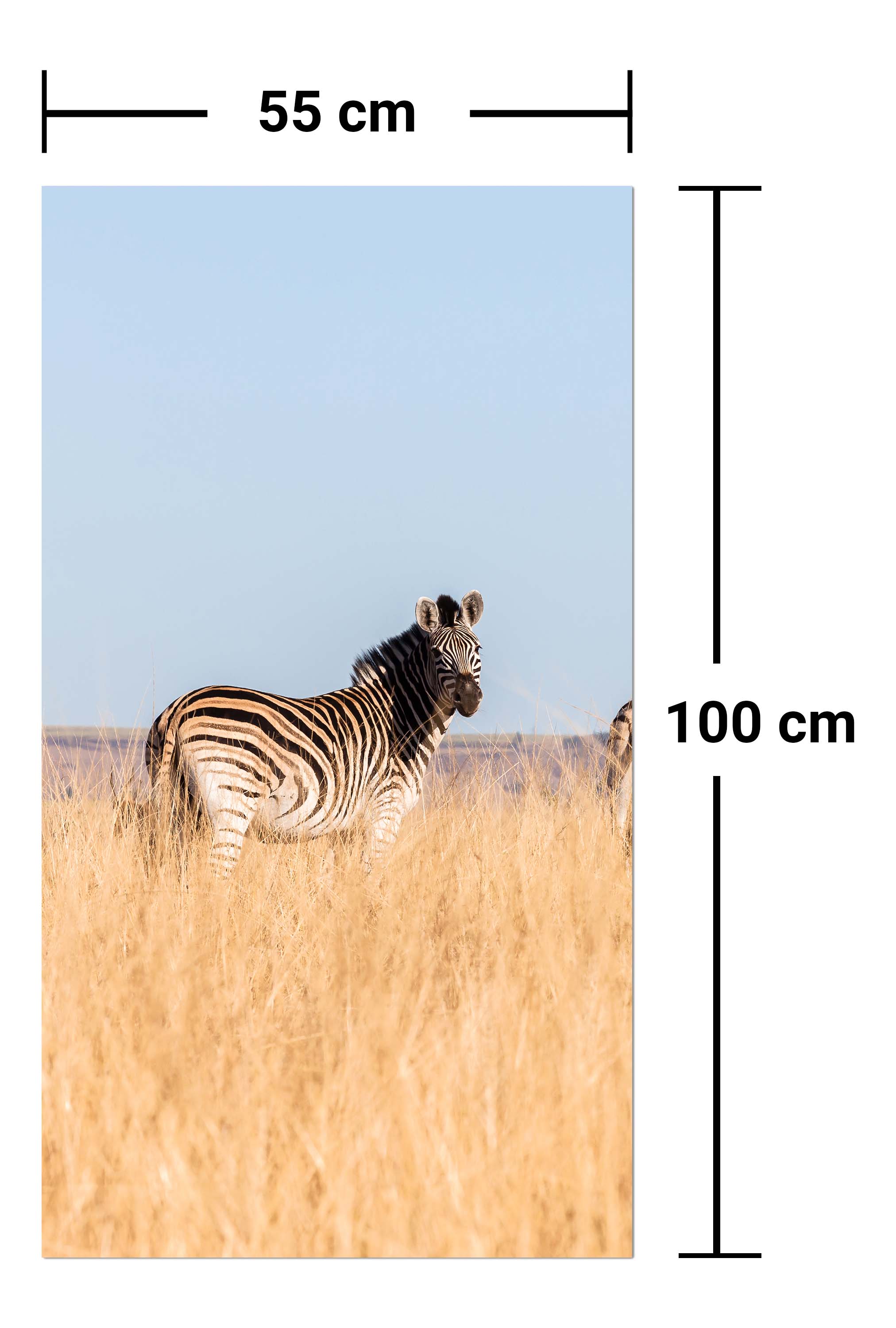 Garderobe Manada de cebras M1007 entdecken - Bild 7 Garderobe Manada de cebras M1007 entdecken - Bild 7