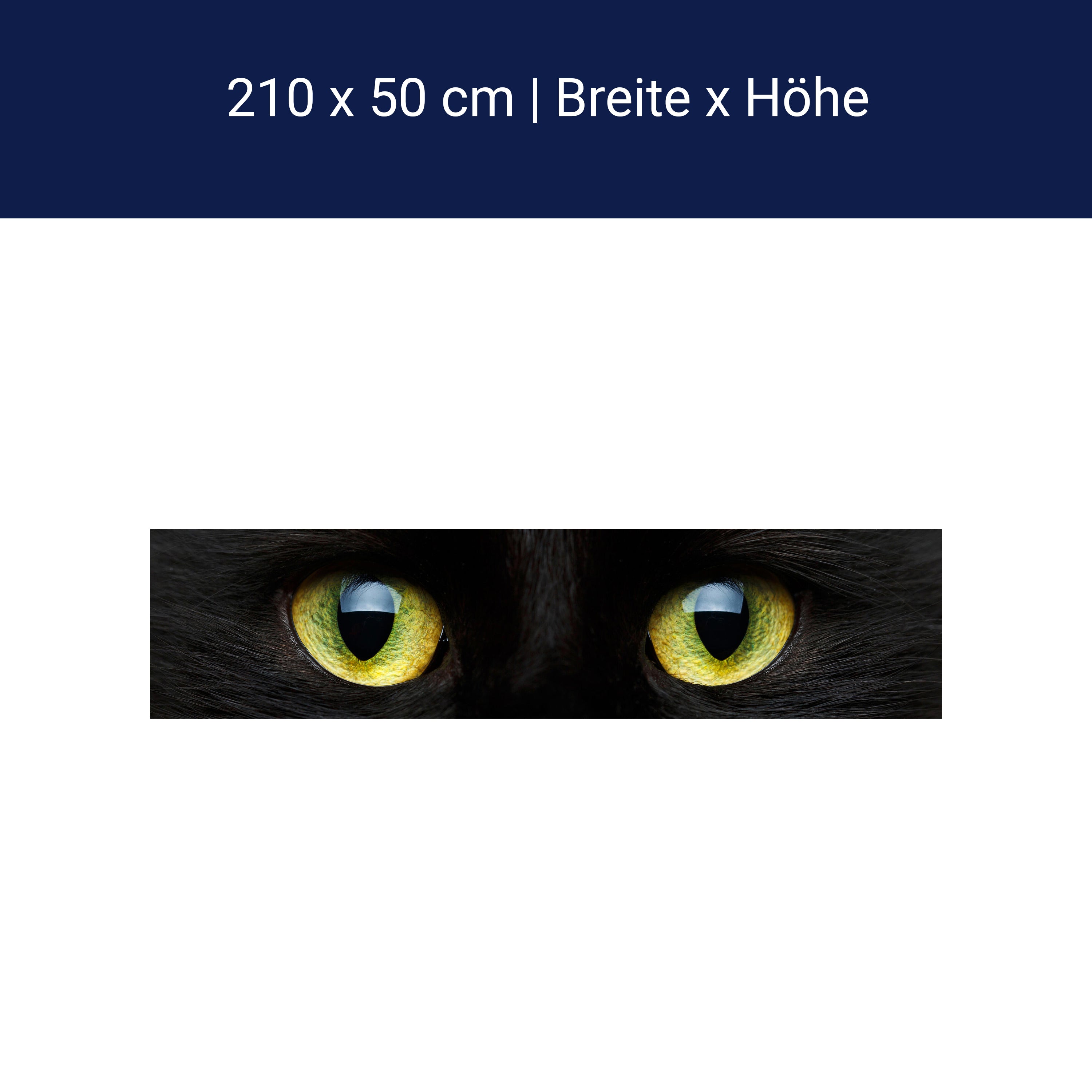 Küchenrückwand Nahaufnahme der schwarzen Katze M1013 Küchenrückwand Nahaufnahme der schwarzen Katze M1013