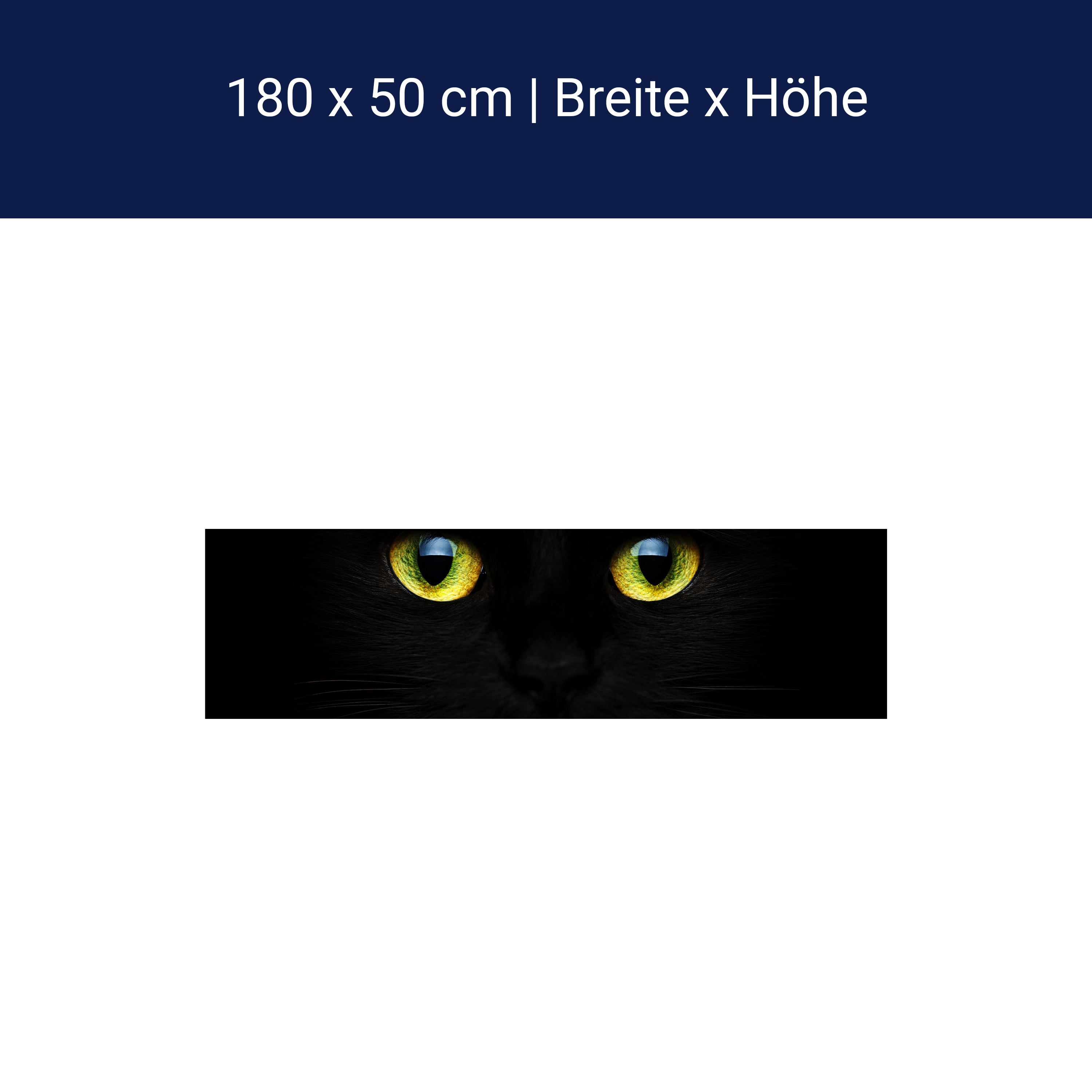 Küchenrückwand Mysteriöse Katzenaugen M1015 Küchenrückwand Mysteriöse Katzenaugen M1015