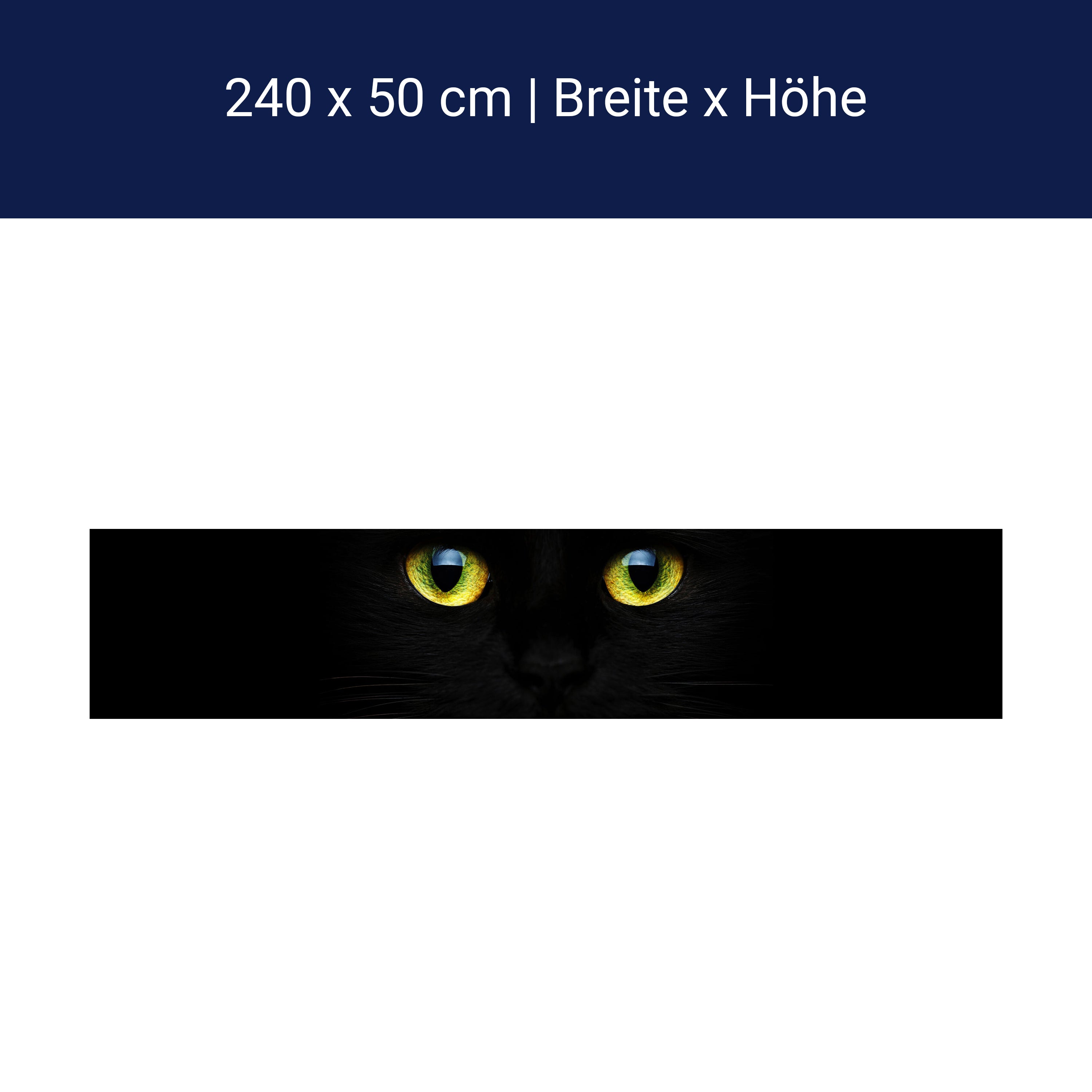 Küchenrückwand Mysteriöse Katzenaugen M1015 Küchenrückwand Mysteriöse Katzenaugen M1015