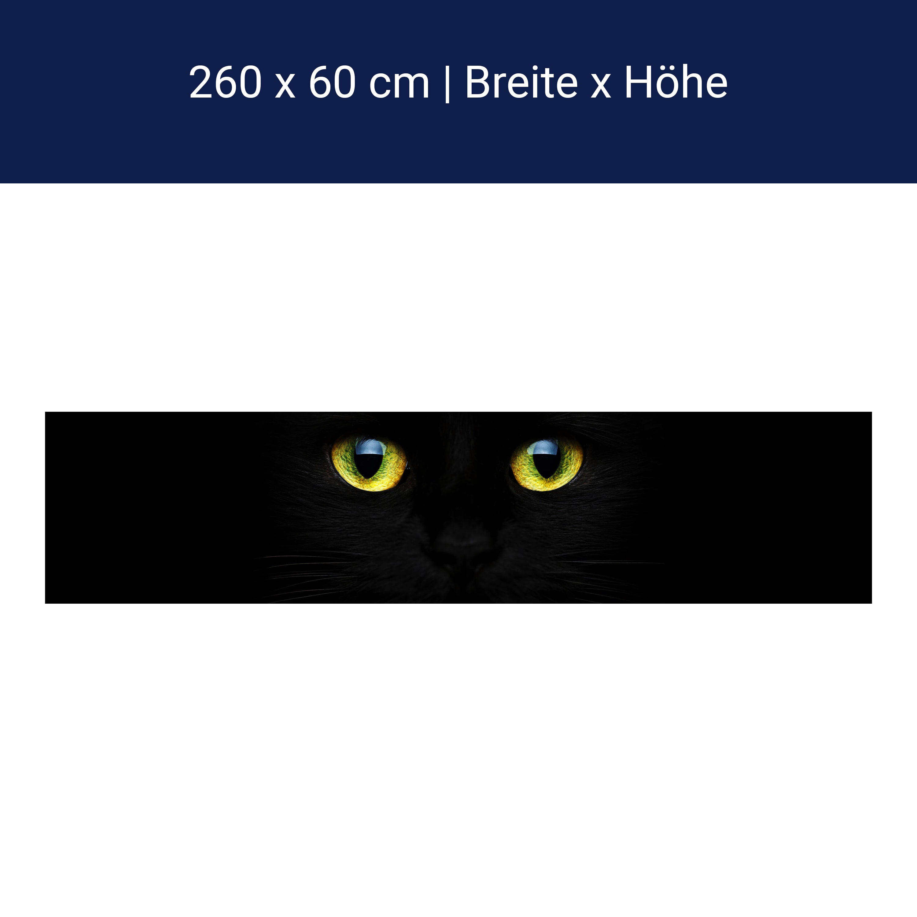 Küchenrückwand Mysteriöse Katzenaugen M1015 Küchenrückwand Mysteriöse Katzenaugen M1015