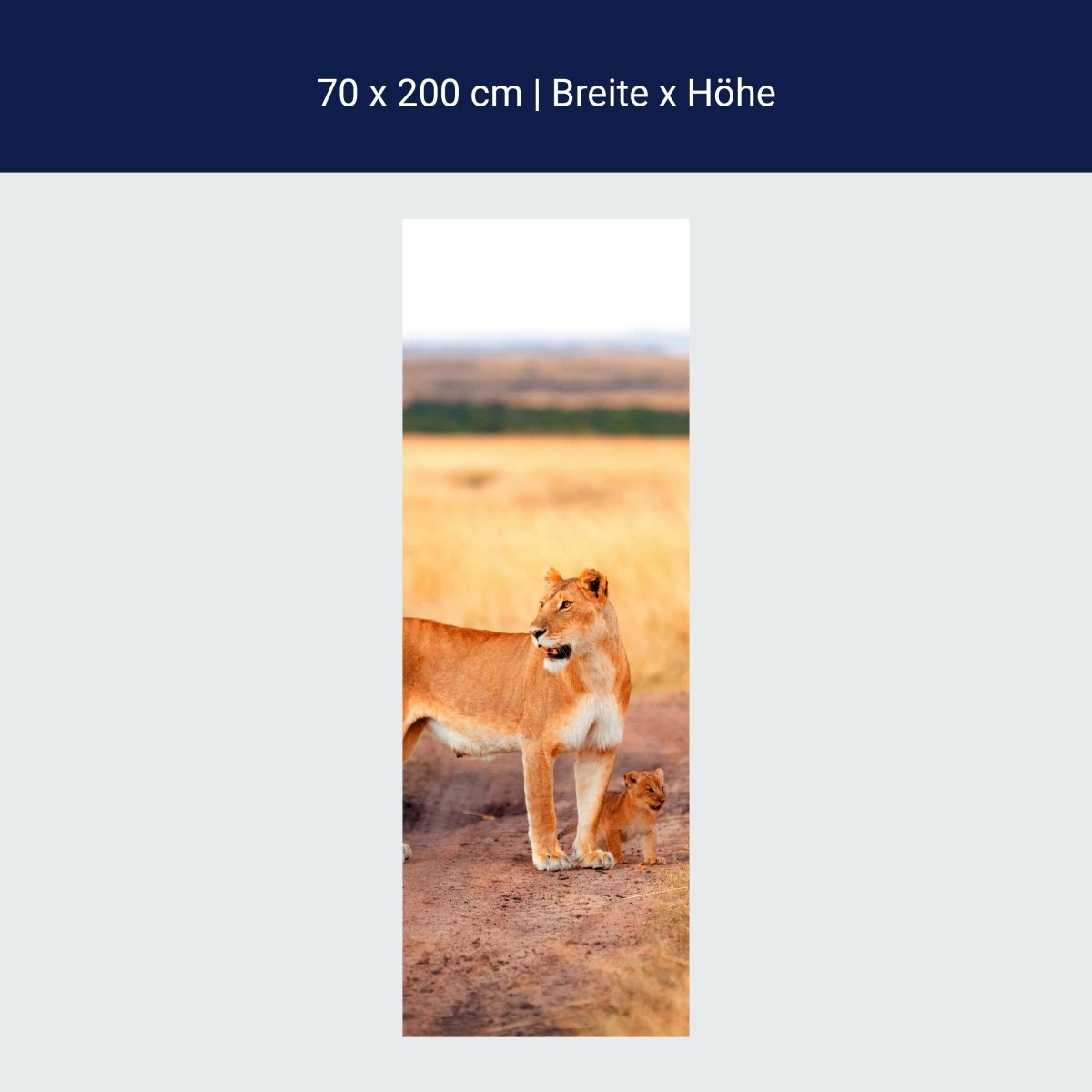 Duschwand Löwe mit einem Jungen, Kenia M1020 Duschwand Löwe mit einem Jungen, Kenia M1020