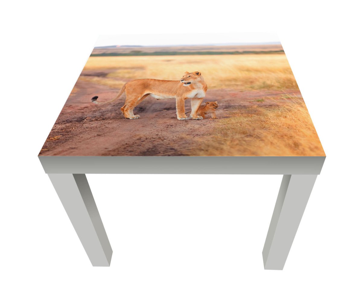Beistelltisch Löwe mit einem Jungen, Kenia M1020 entdecken - Bild 1 Beistelltisch Löwe mit einem Jungen, Kenia M1020 entdecken - Bild 1