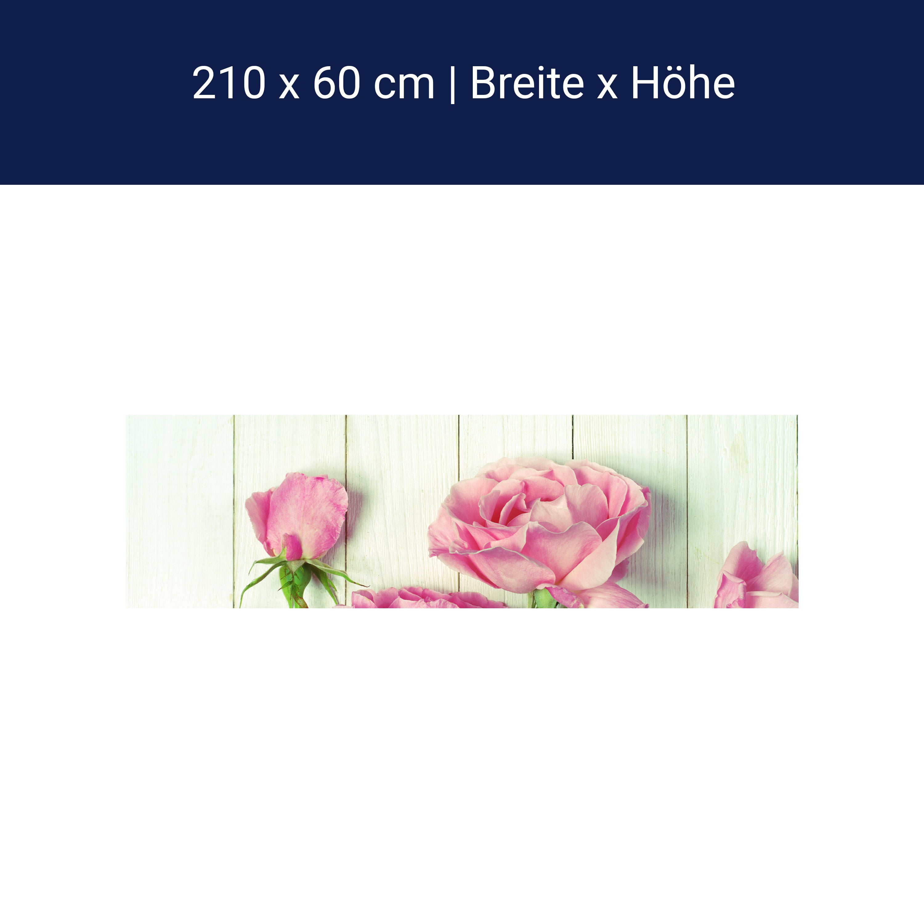 Küchenrückwand Frische Gartenrosen M1021 Küchenrückwand Frische Gartenrosen M1021