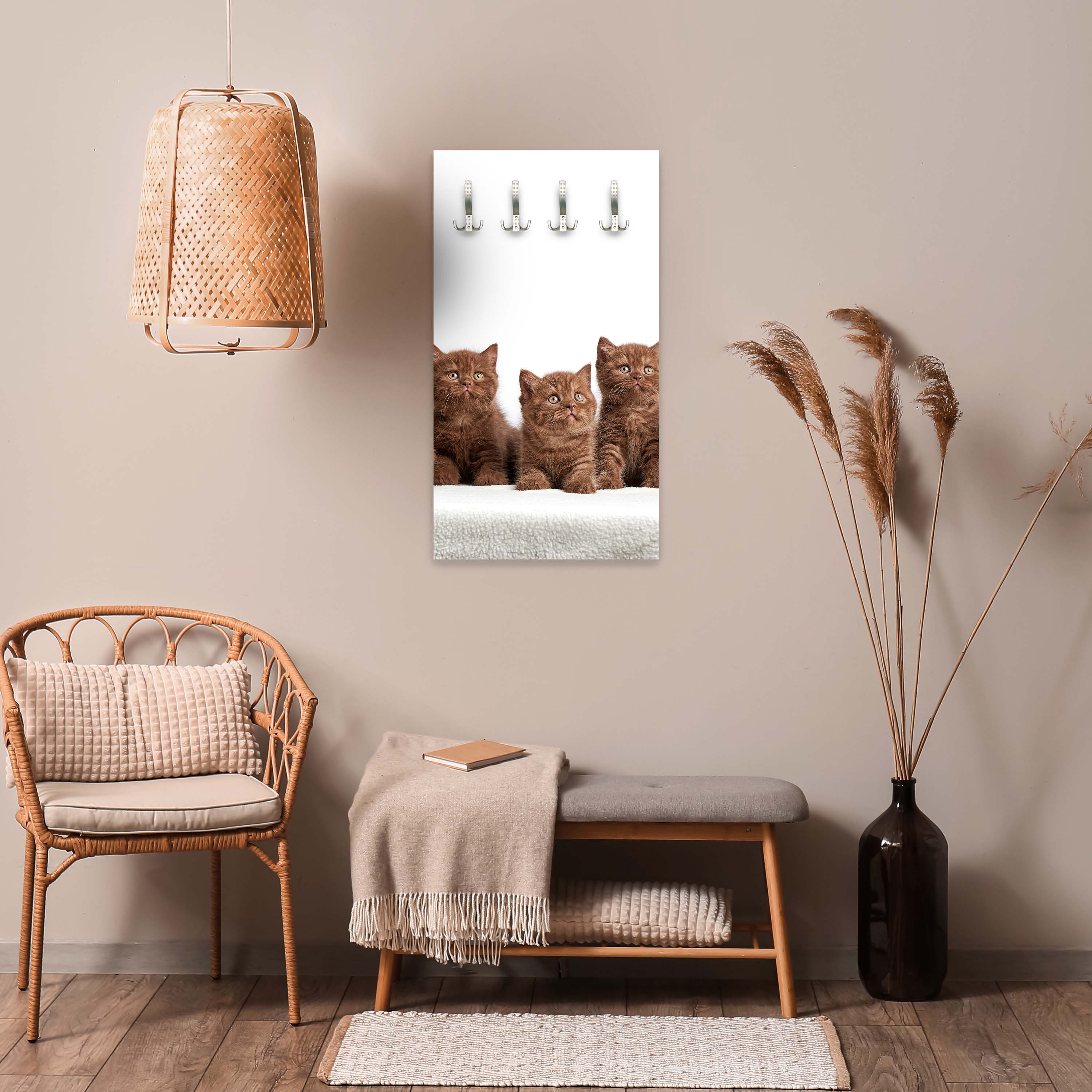 Garderobe Portrait von sechs braunen britischen Kätzchen M1022 entdecken - Bild 2 Garderobe Portrait von sechs braunen britischen Kätzchen M1022 entdecken - Bild 2