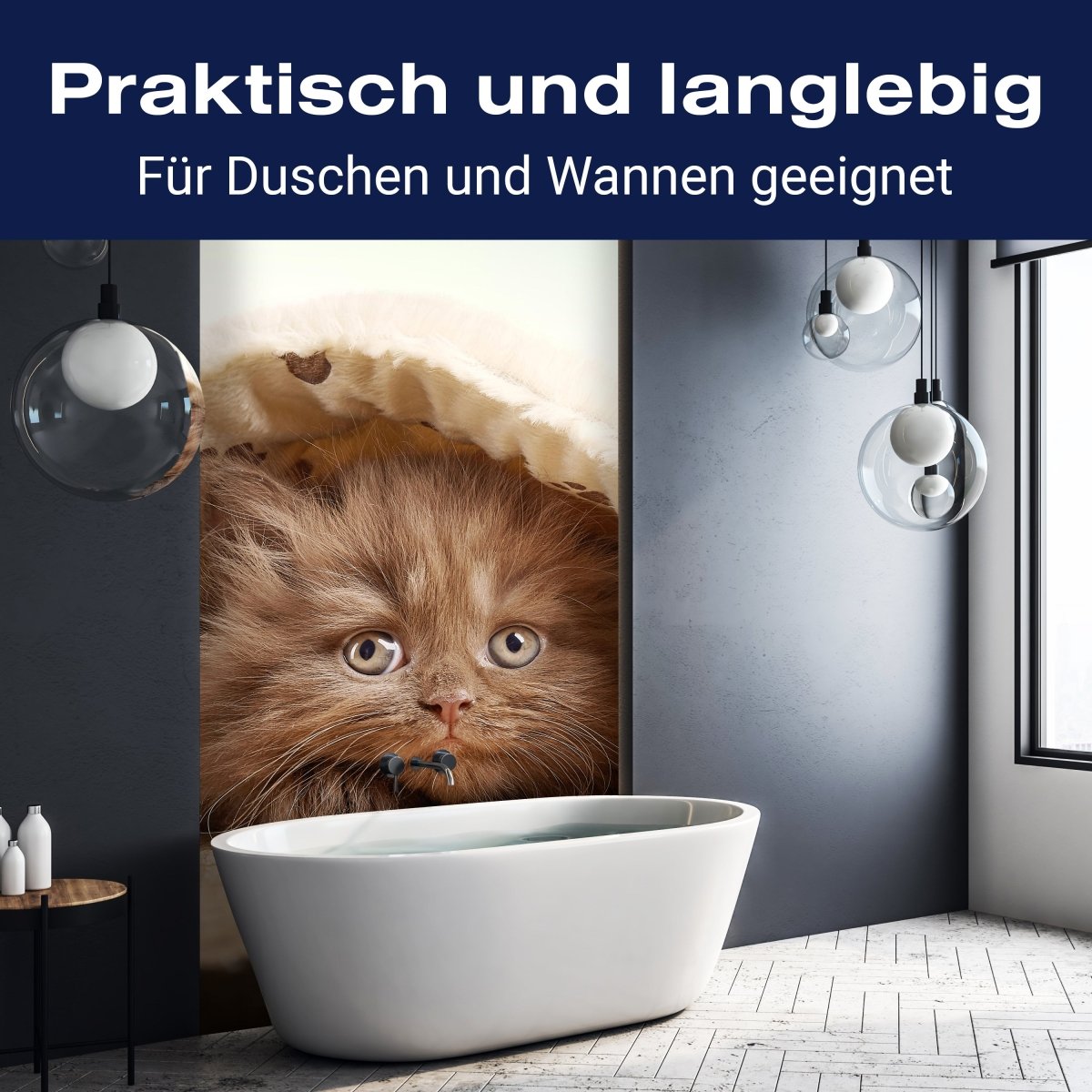 Duschwand Braunes britisches langhaariges Kätzchen M1023 entdecken - Bild 3 Duschwand Braunes britisches langhaariges Kätzchen M1023 entdecken - Bild 3