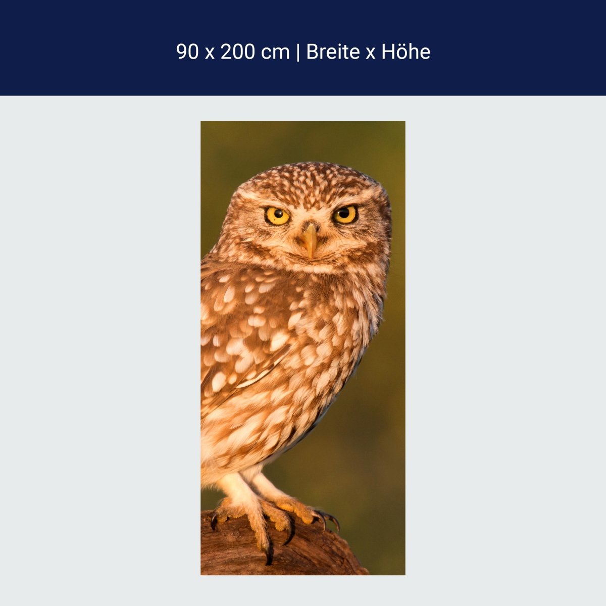 Duschwand Kleine Eule, Baumstamm M1026 Duschwand Kleine Eule, Baumstamm M1026