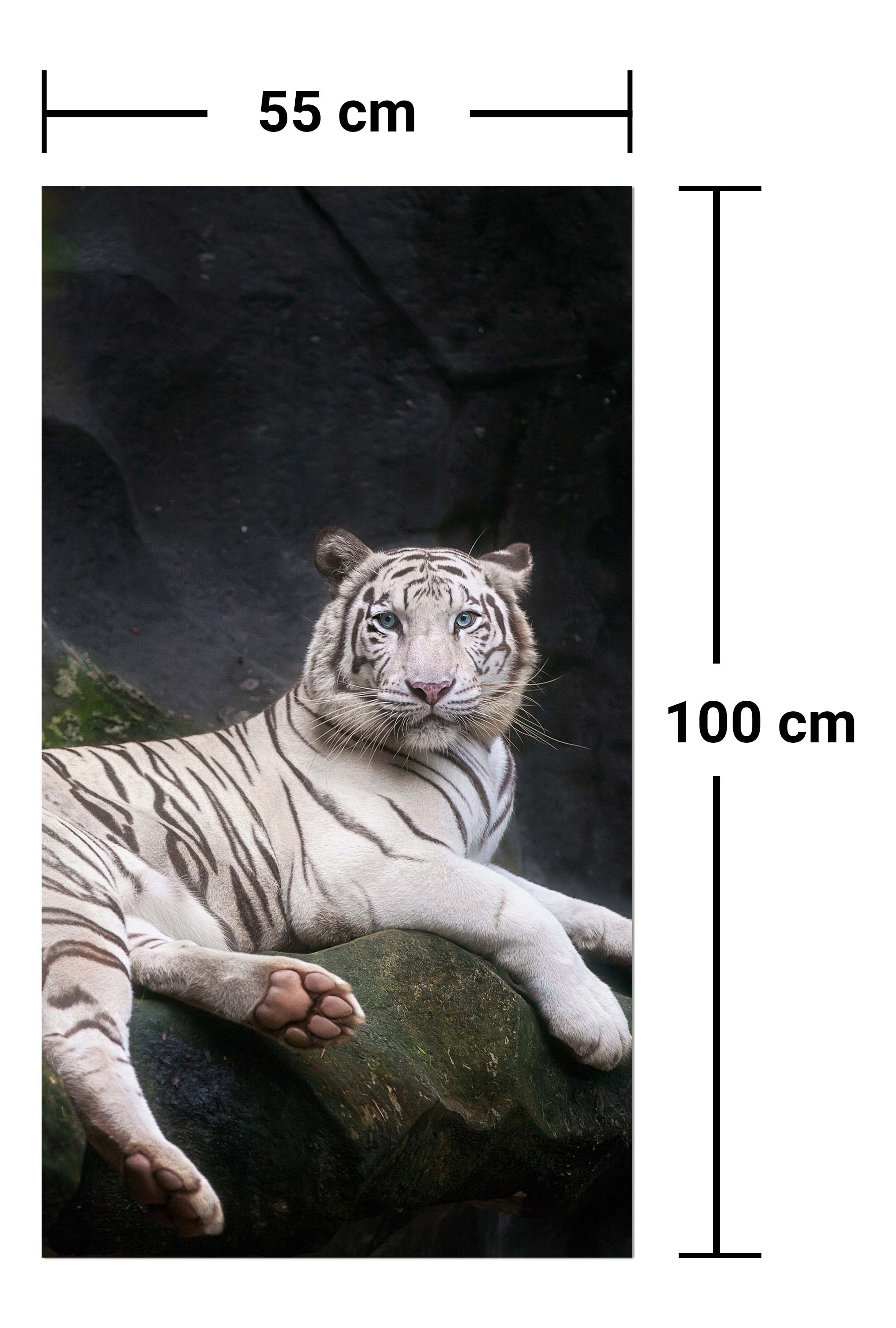 Garderobe Weißer Tiger sitzt in der Höhle M1027 entdecken - Bild 7 Garderobe Weißer Tiger sitzt in der Höhle M1027 entdecken - Bild 7