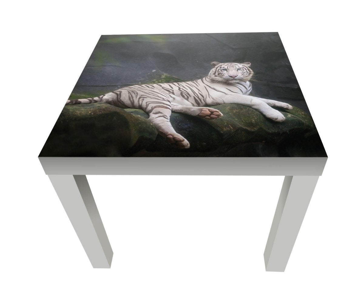Beistelltisch Weißer Tiger sitzt in der Höhle M1027 entdecken - Bild 1 Beistelltisch Weißer Tiger sitzt in der Höhle M1027 entdecken - Bild 1