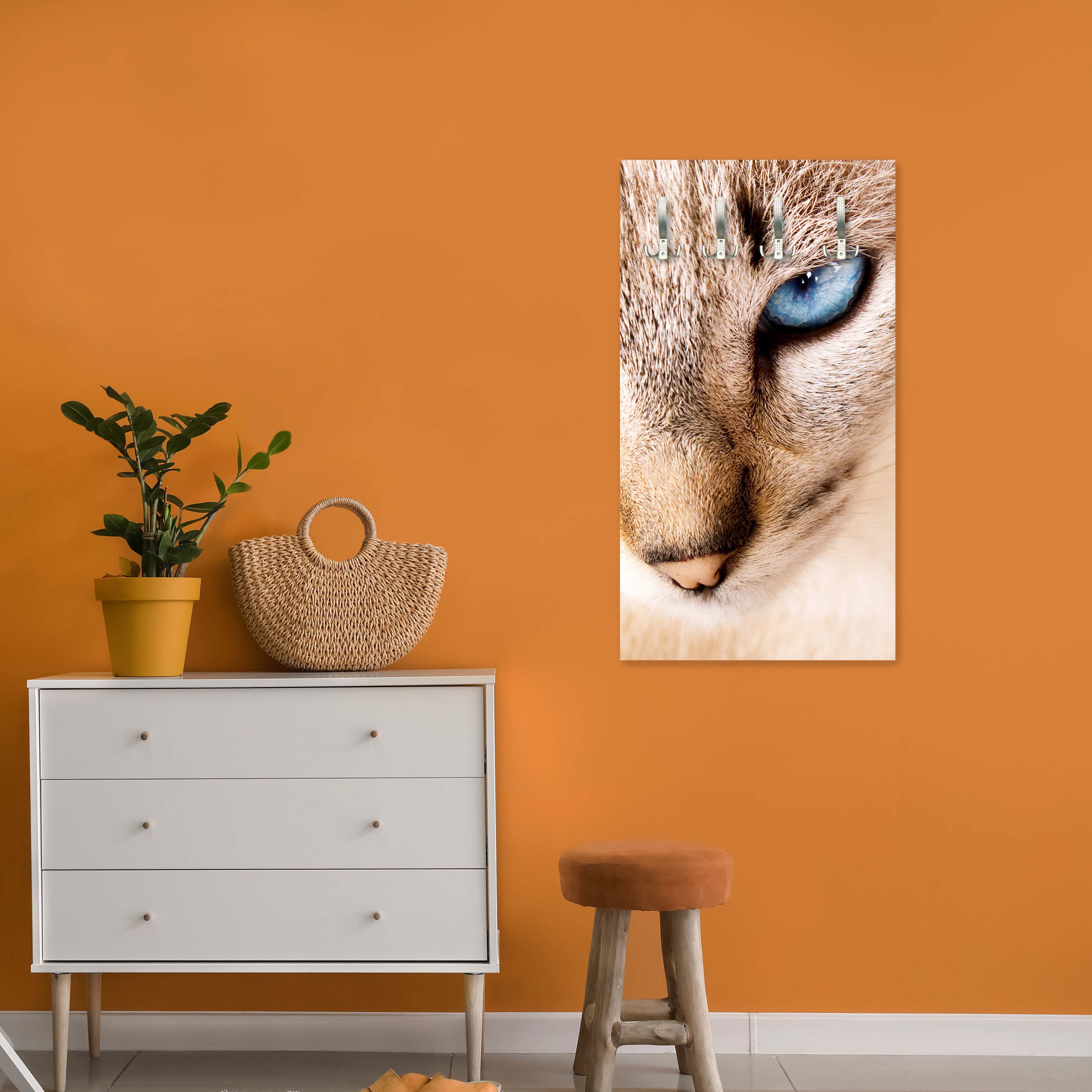 Garderobe Nettes weißes Katzenporträt M1028 entdecken - Bild 3 Garderobe Nettes weißes Katzenporträt M1028 entdecken - Bild 3