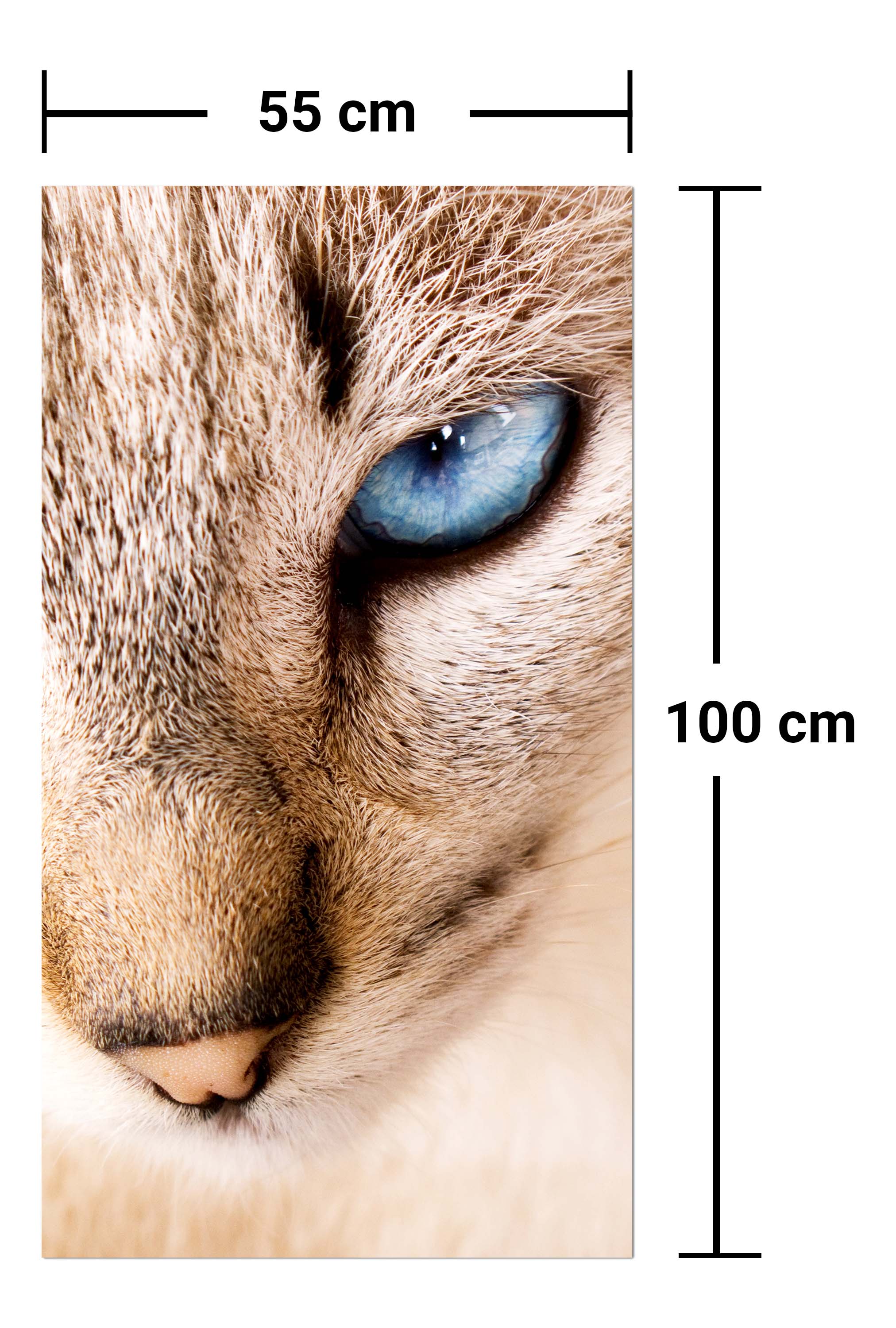 Garderobe Nettes weißes Katzenporträt M1028 entdecken - Bild 7 Garderobe Nettes weißes Katzenporträt M1028 entdecken - Bild 7