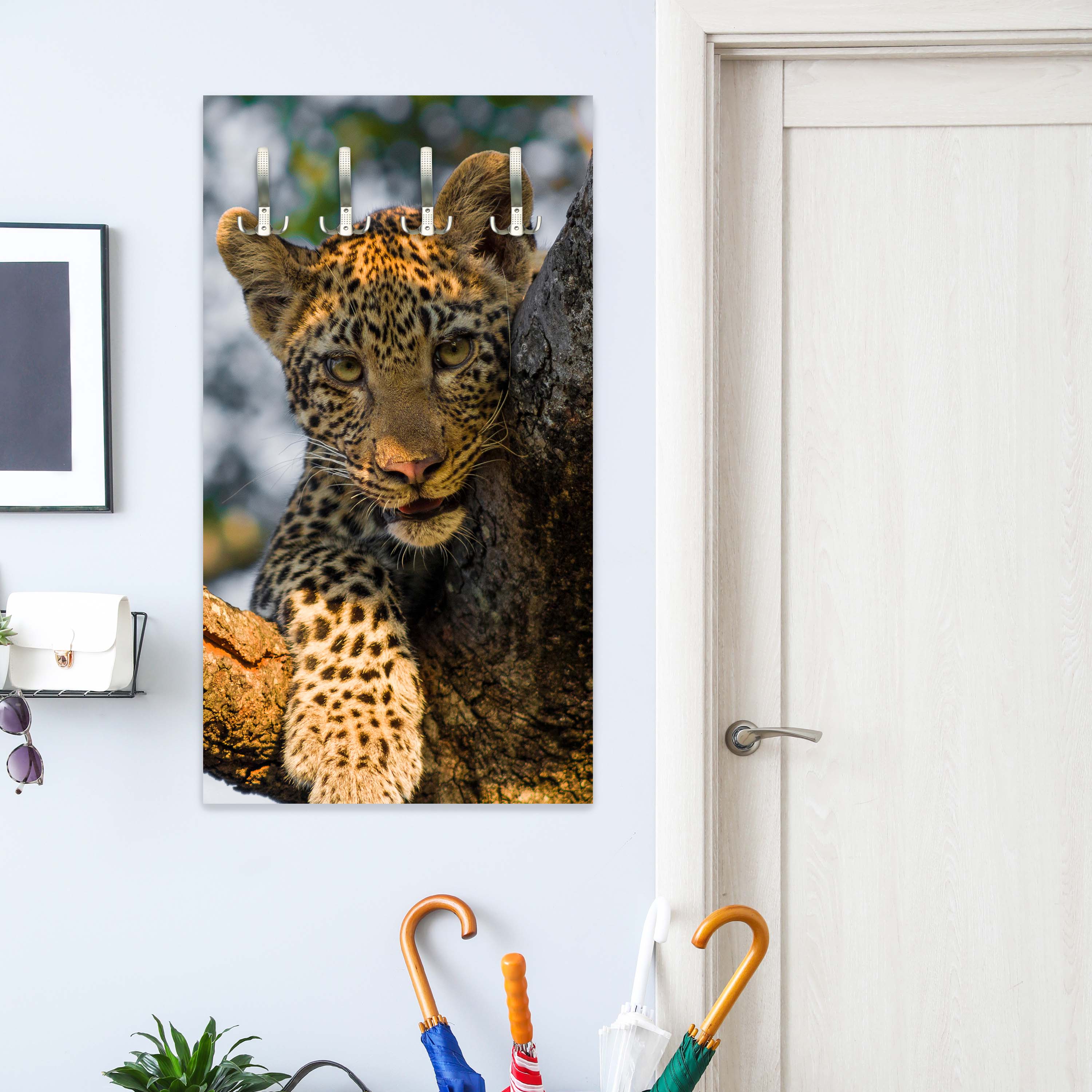 Garderobe Leopard in Südafrika M1032 entdecken - Bild 3 Garderobe Leopard in Südafrika M1032 entdecken - Bild 3