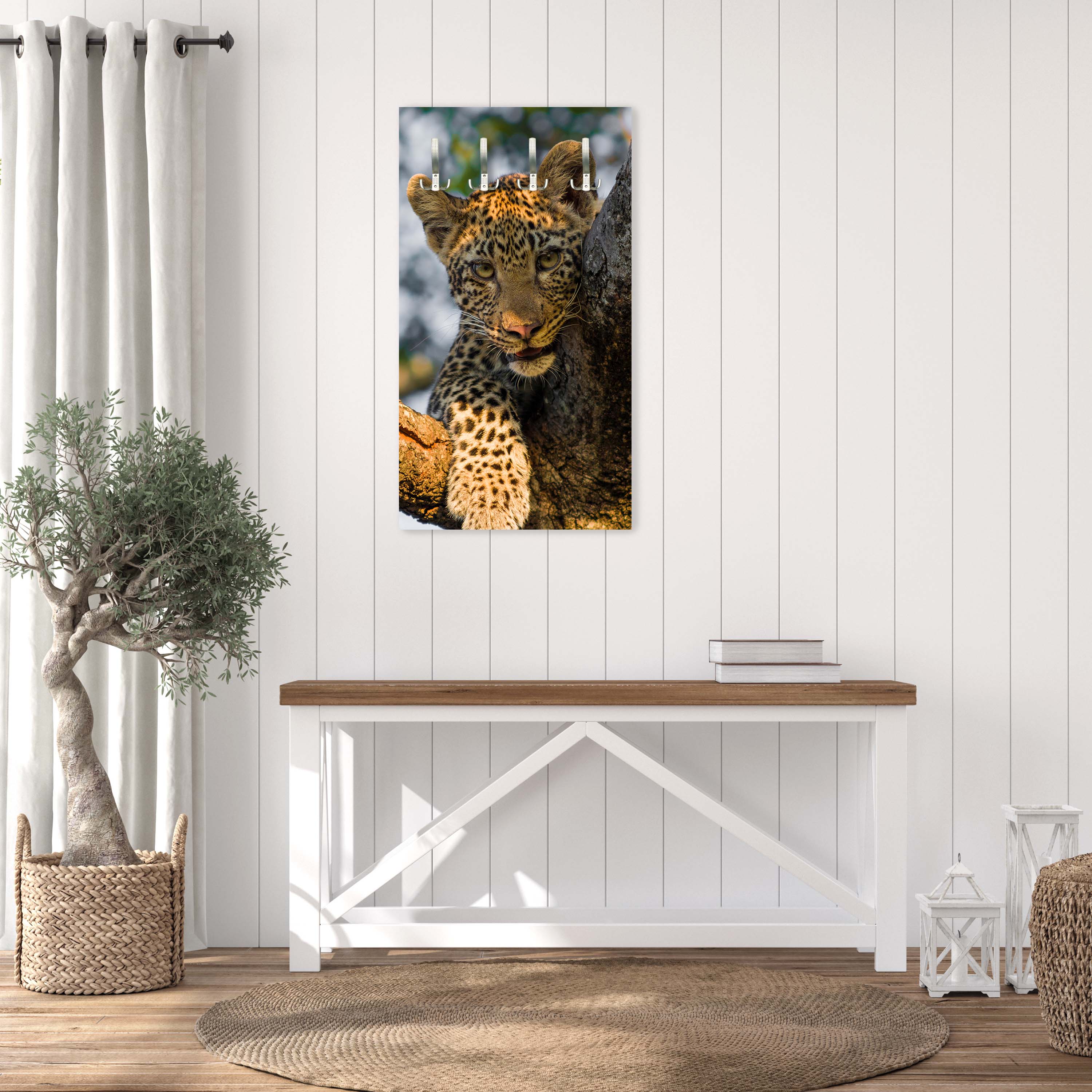 Garderobe Leopard in Südafrika M1032 entdecken - Bild 5 Garderobe Leopard in Südafrika M1032 entdecken - Bild 5