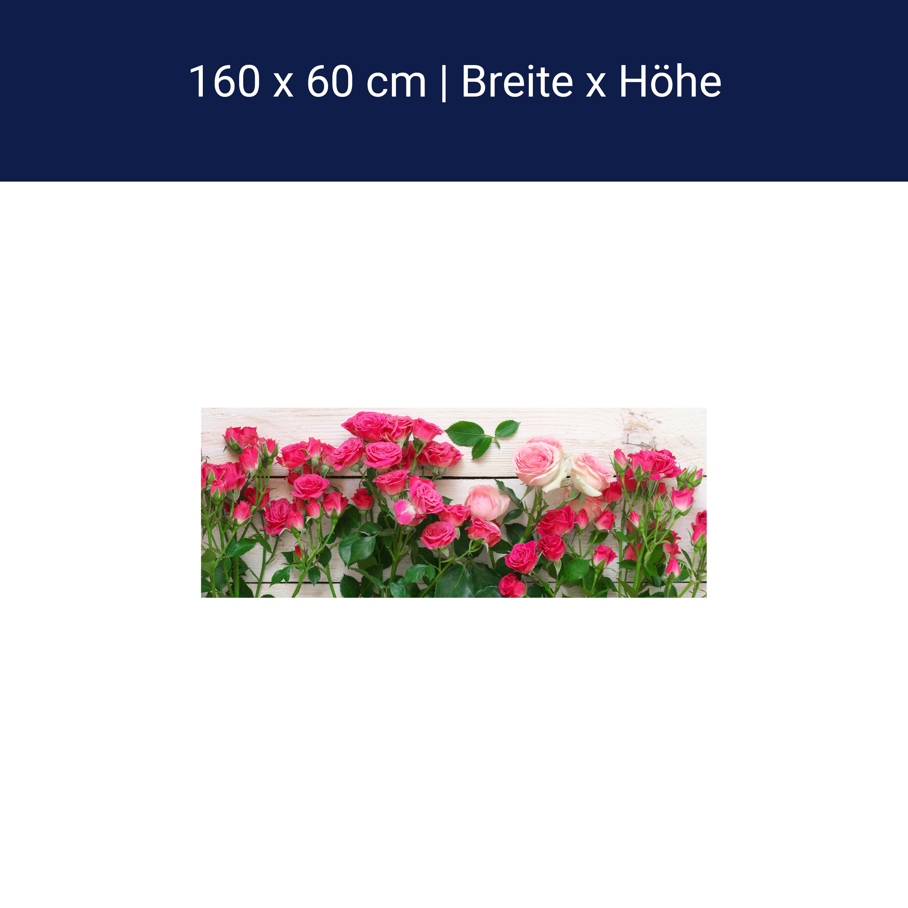 Küchenrückwand Rosa und karminrote Rosen M1034 Küchenrückwand Rosa und karminrote Rosen M1034